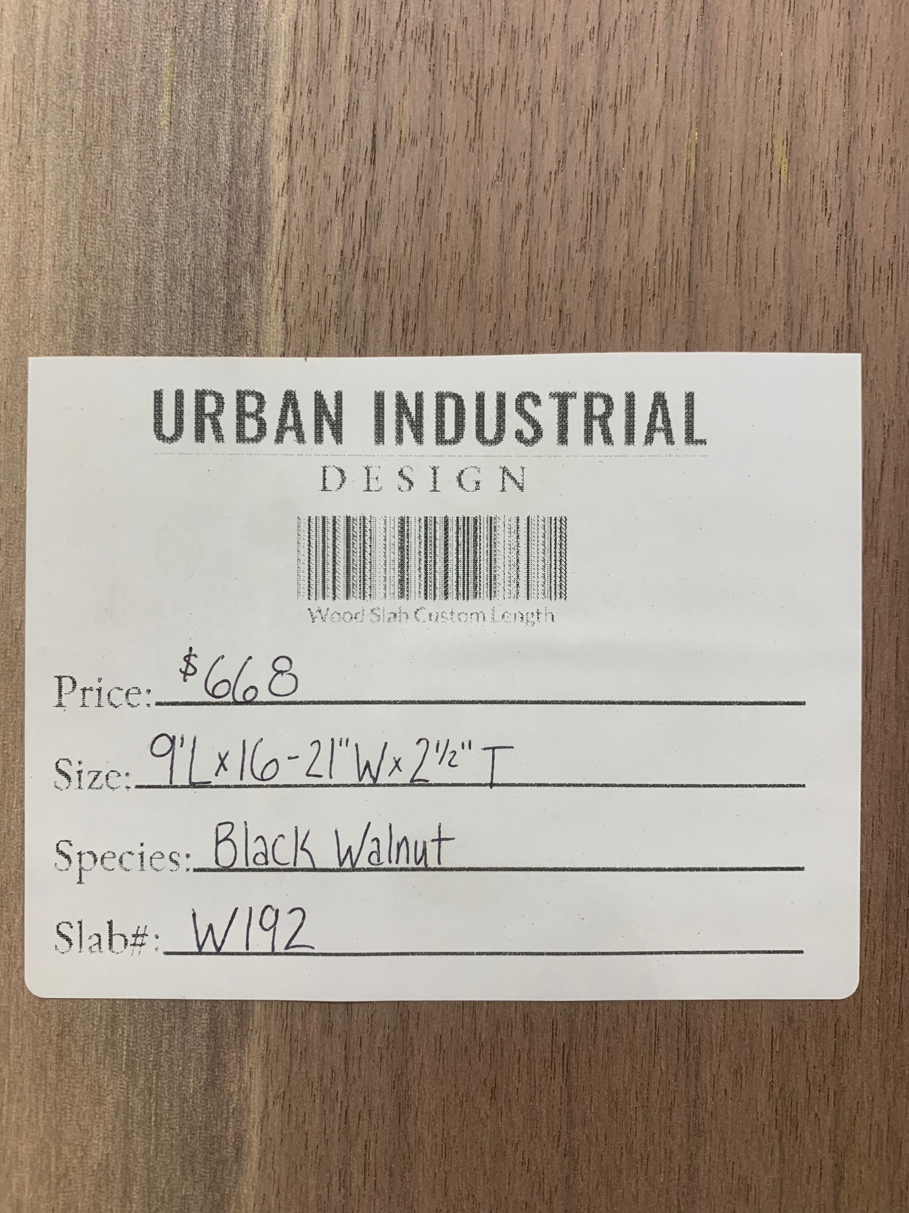 Black Walnut Slab | W192