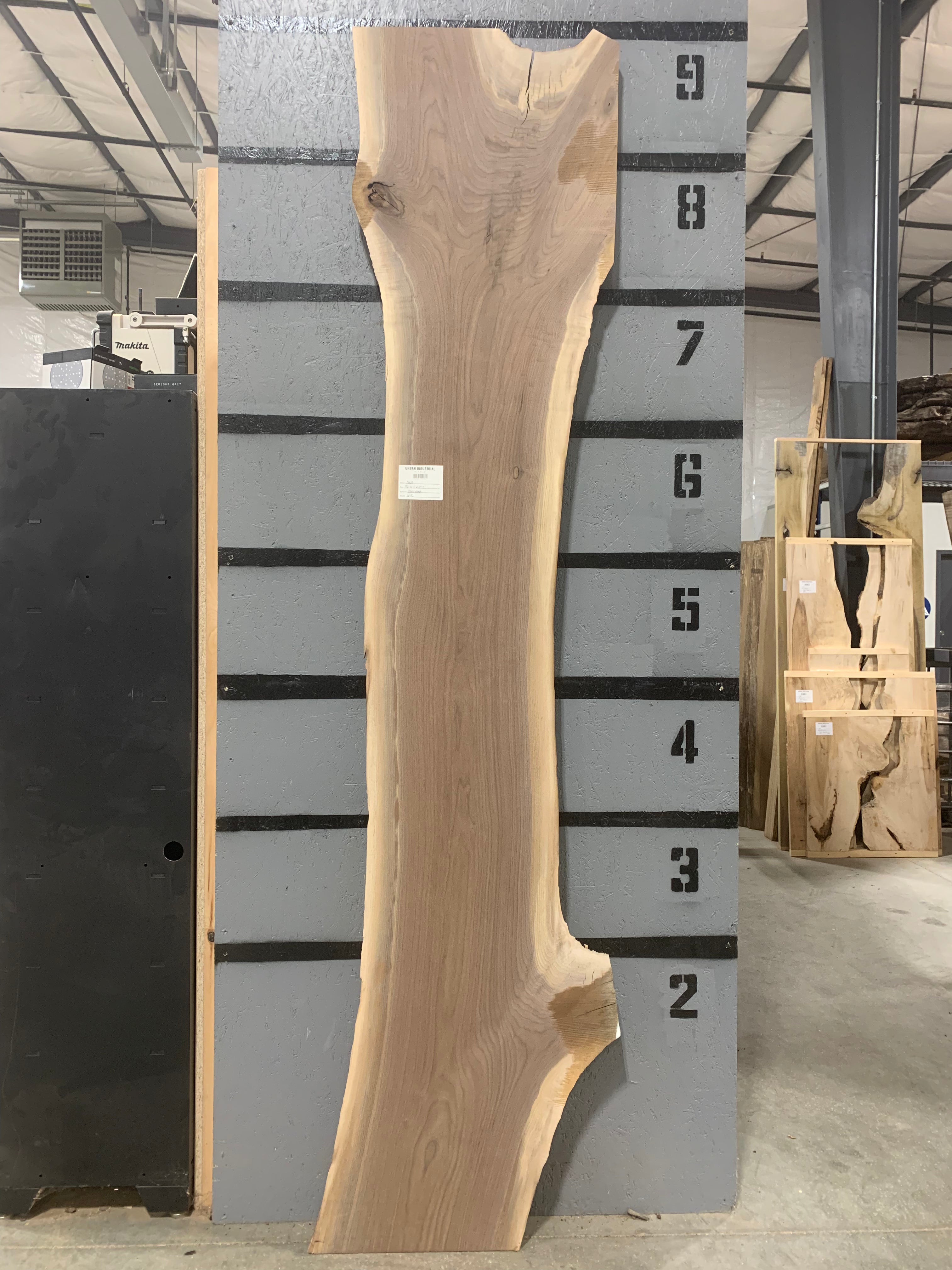 Black Walnut Slab | W192