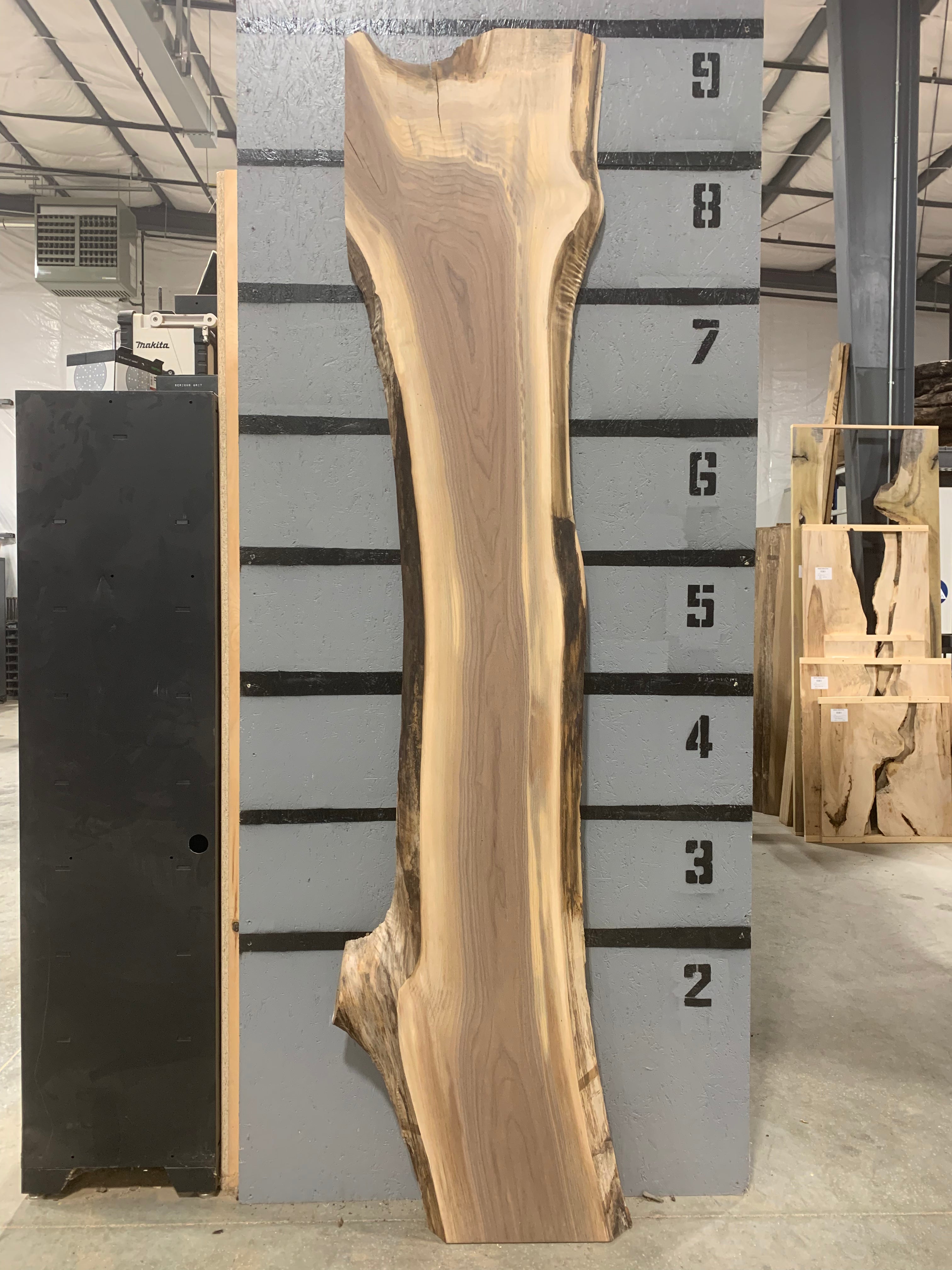 Black Walnut Slab | W192