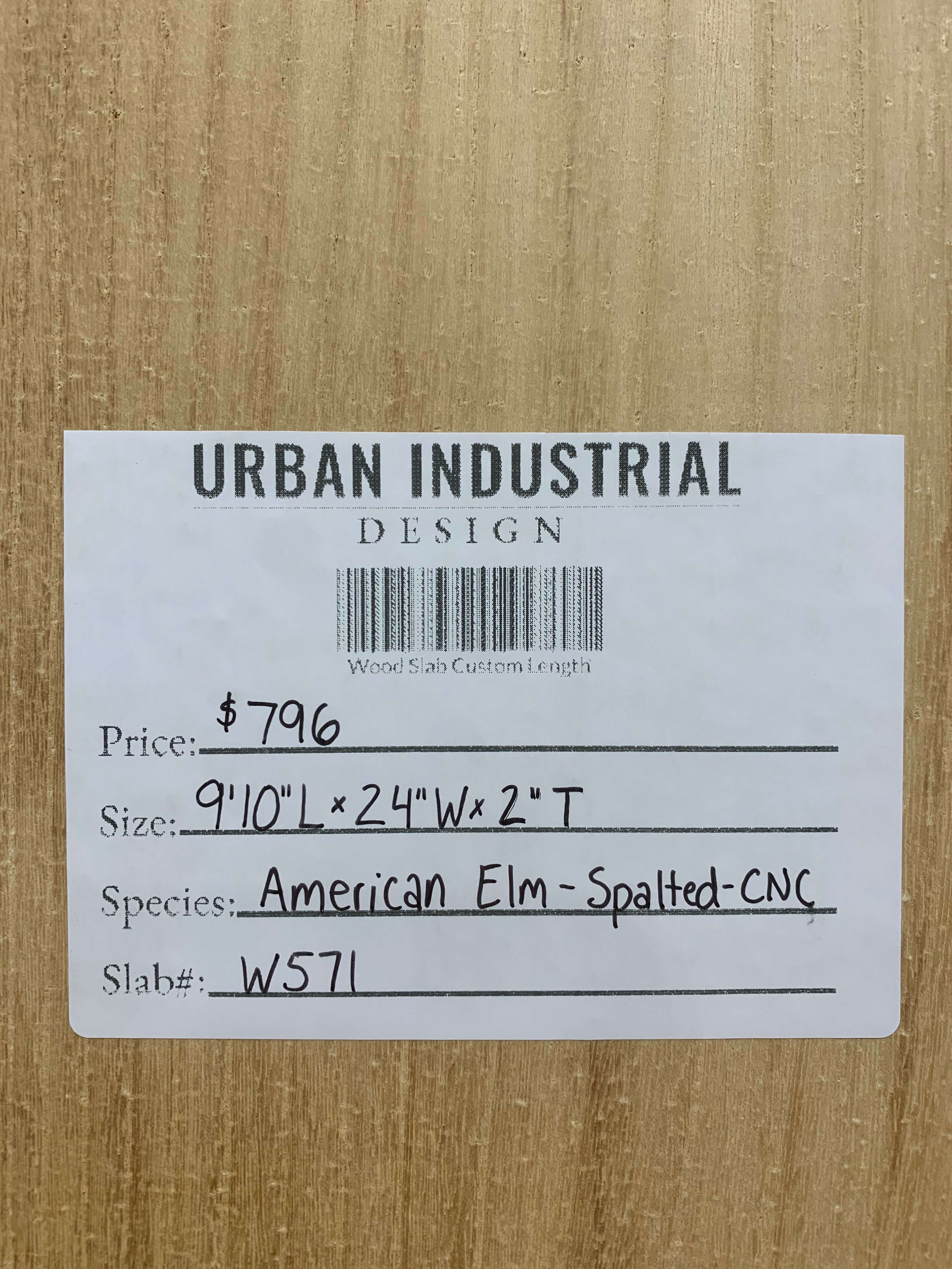 American Elm Slab - Spalted - CNC Flattened | W571