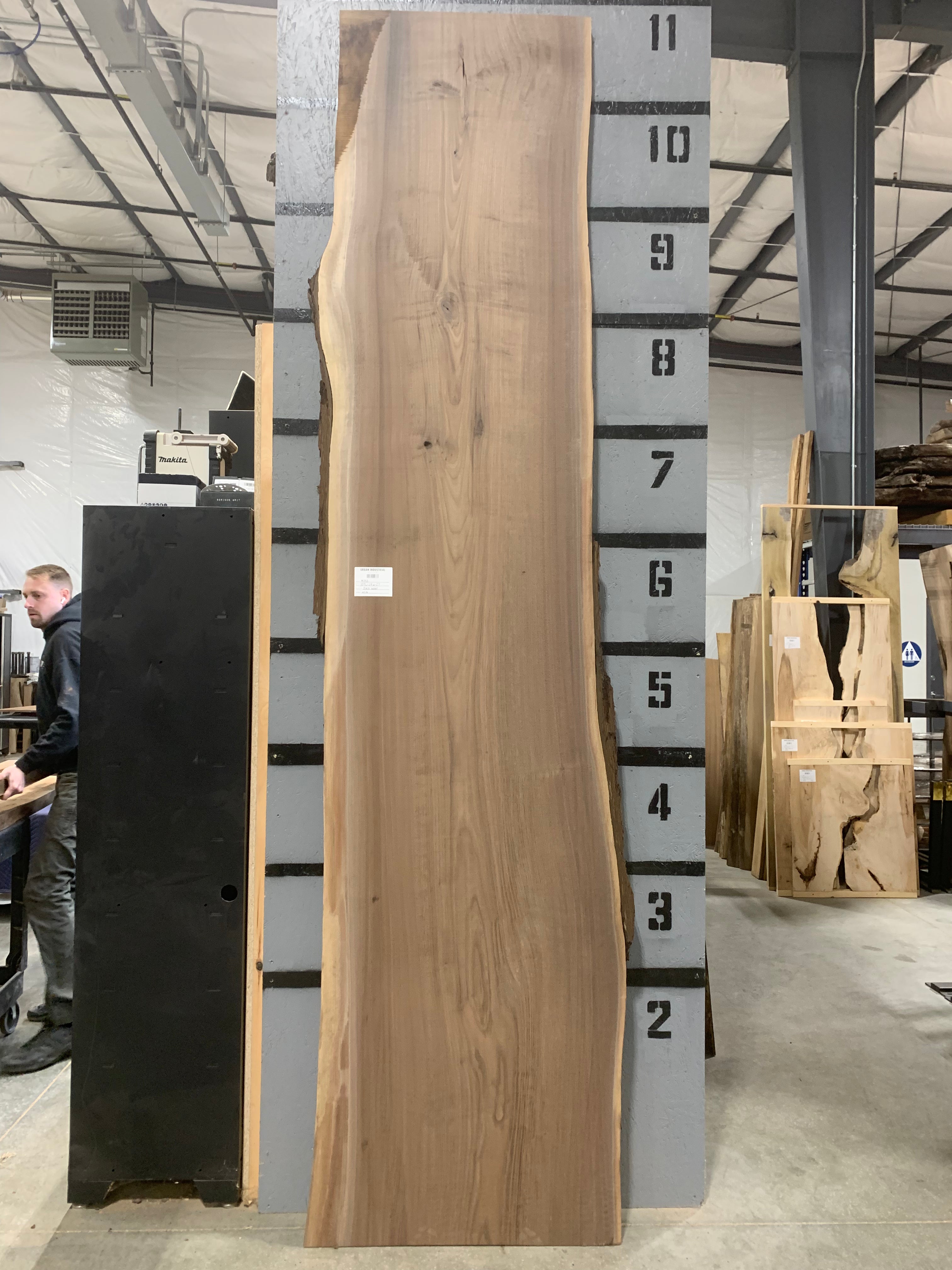 Black Walnut Slab | W576