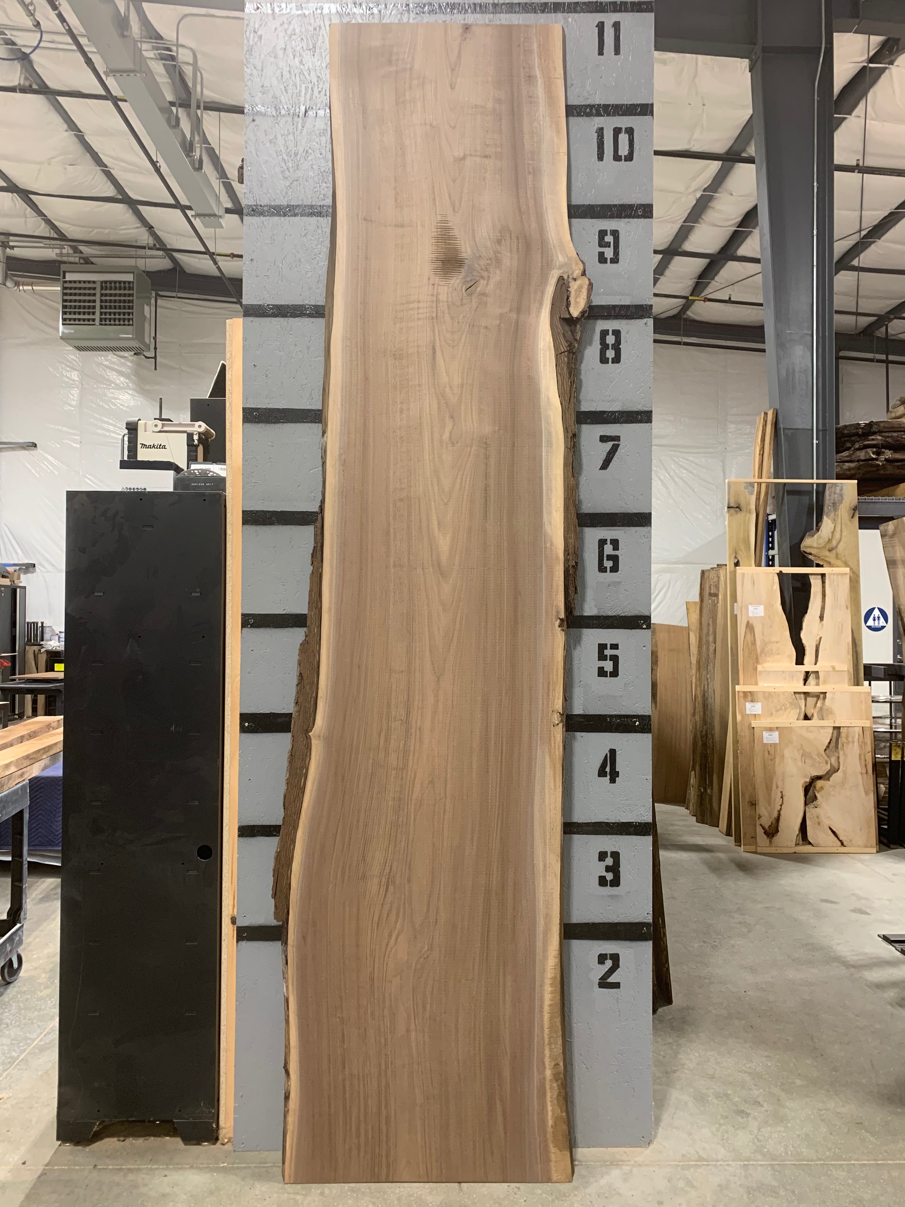 Black Walnut Slab | W576