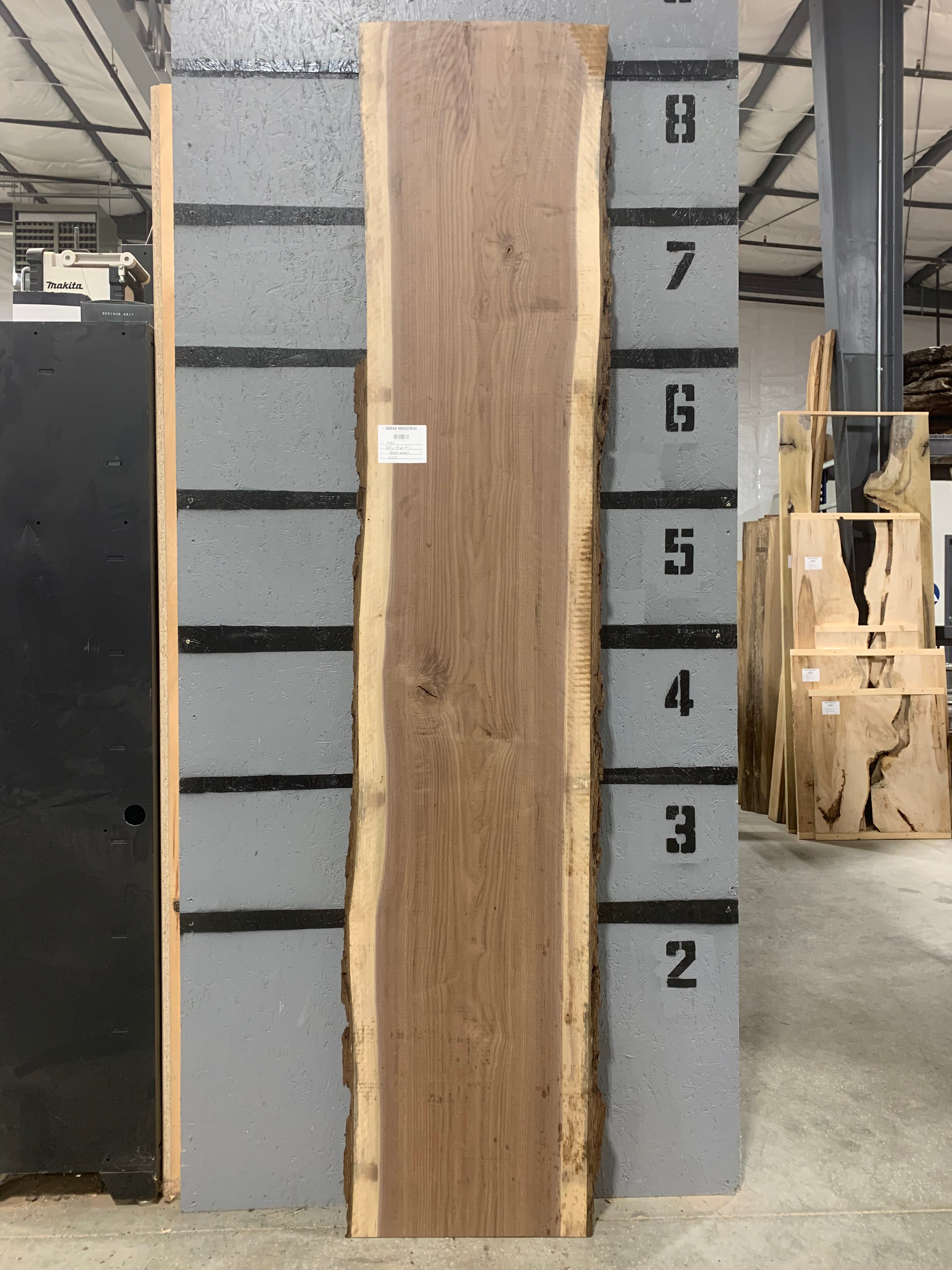 Black Walnut Slab - Figured | W579