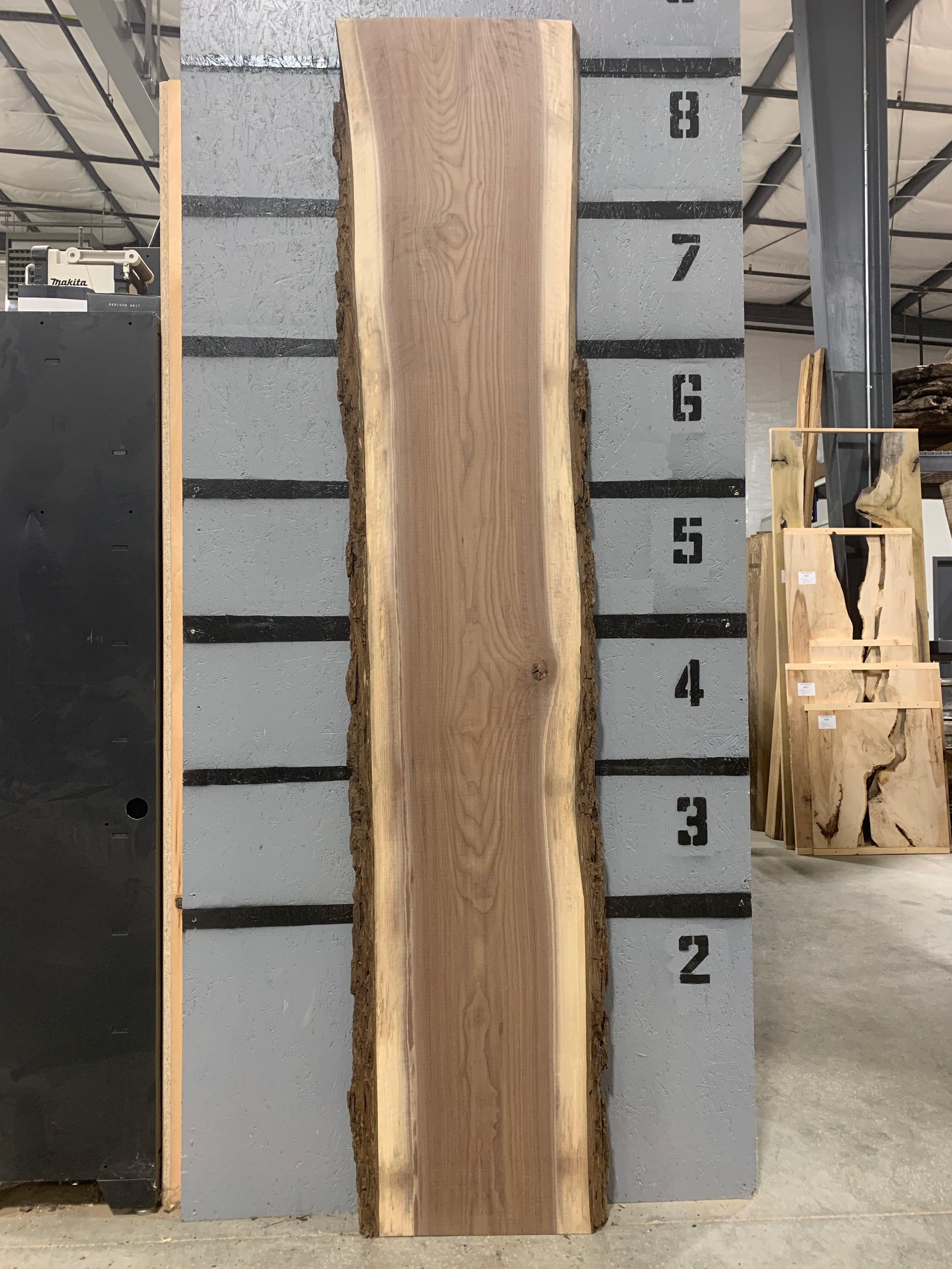 Black Walnut Slab - Figured | W579