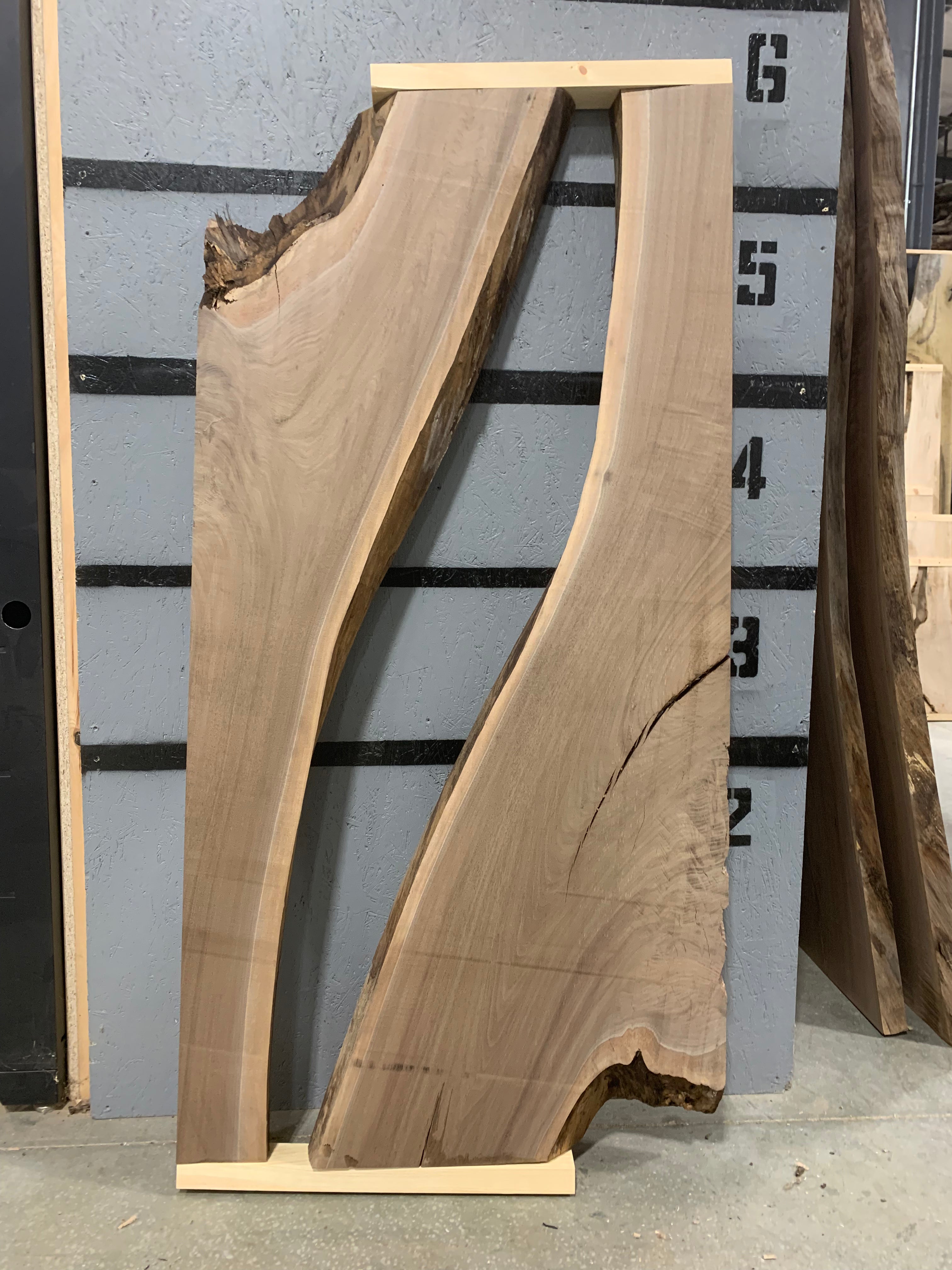 Black Walnut Slab - Resin Set | W582
