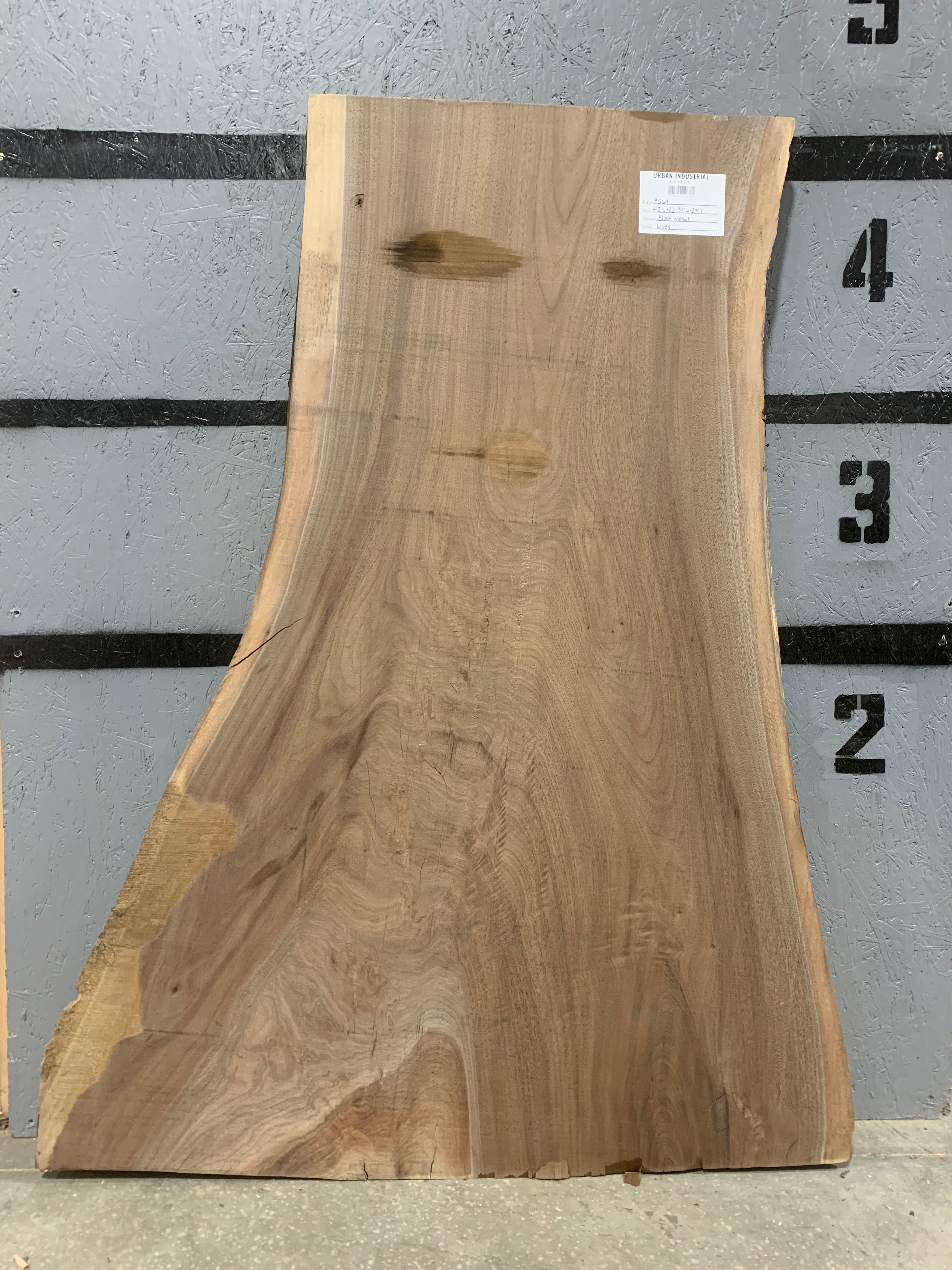 Black Walnut Slab | W583