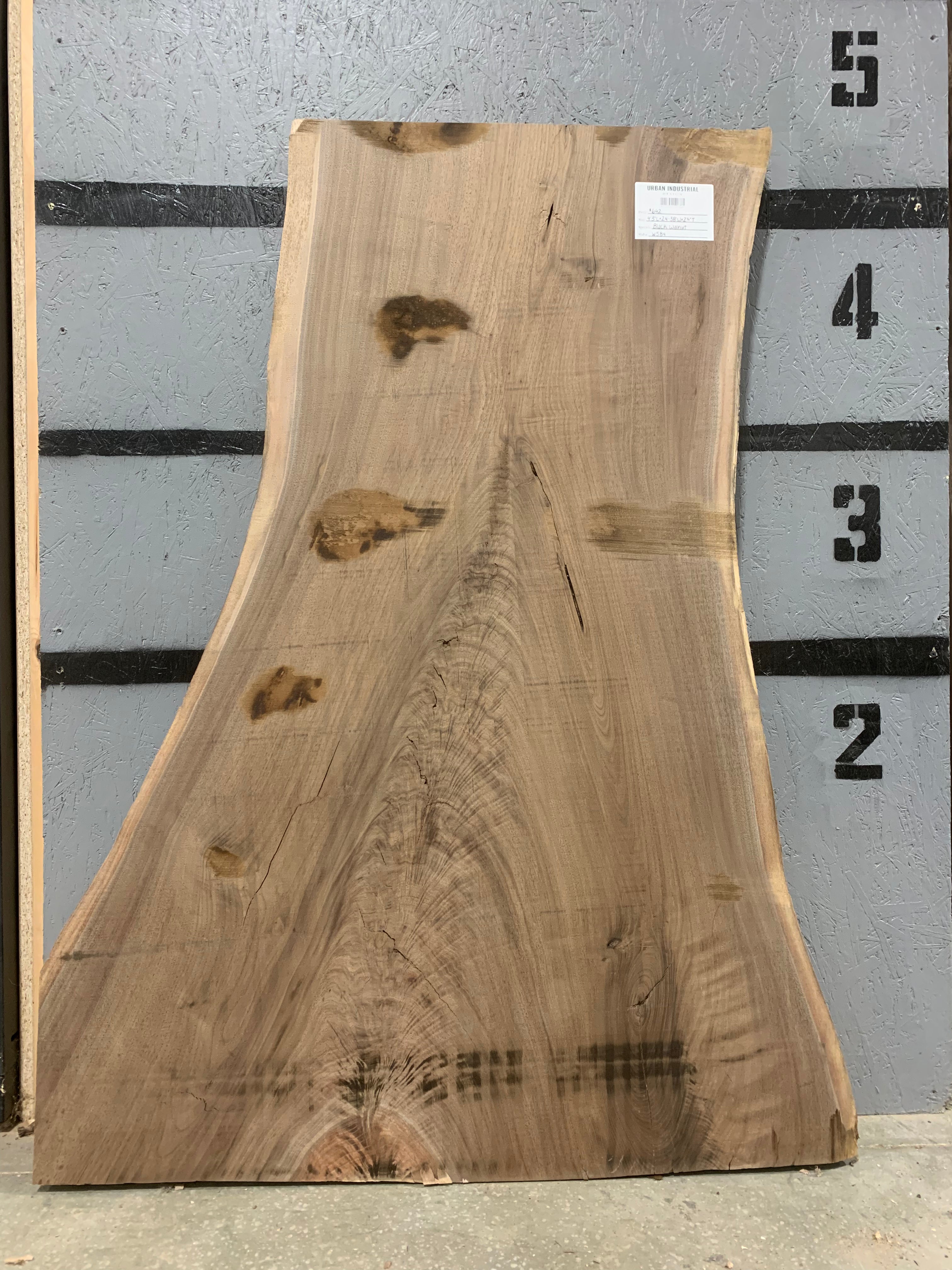 Black Walnut Slab | W584