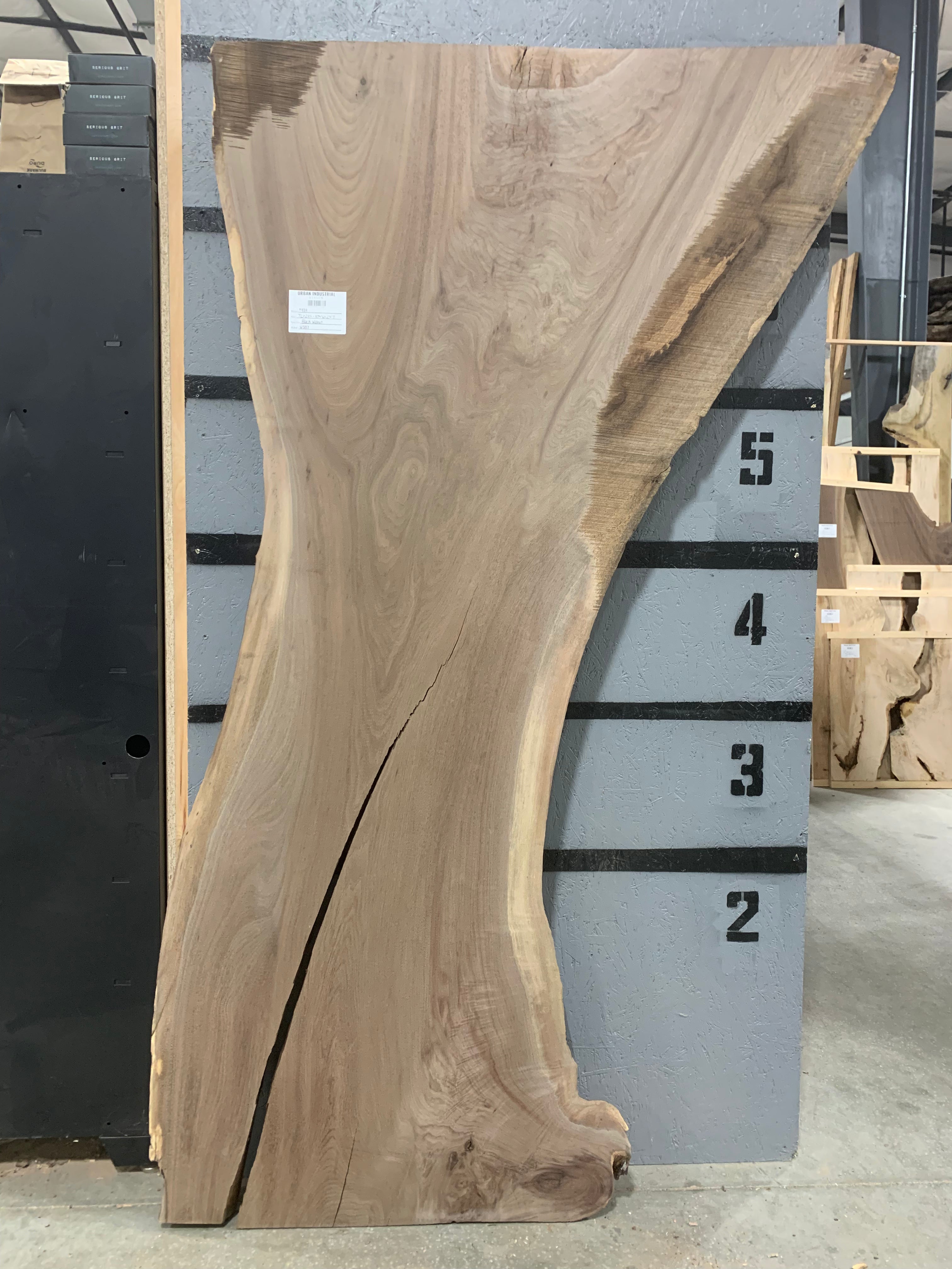 Black Walnut Slab | W587