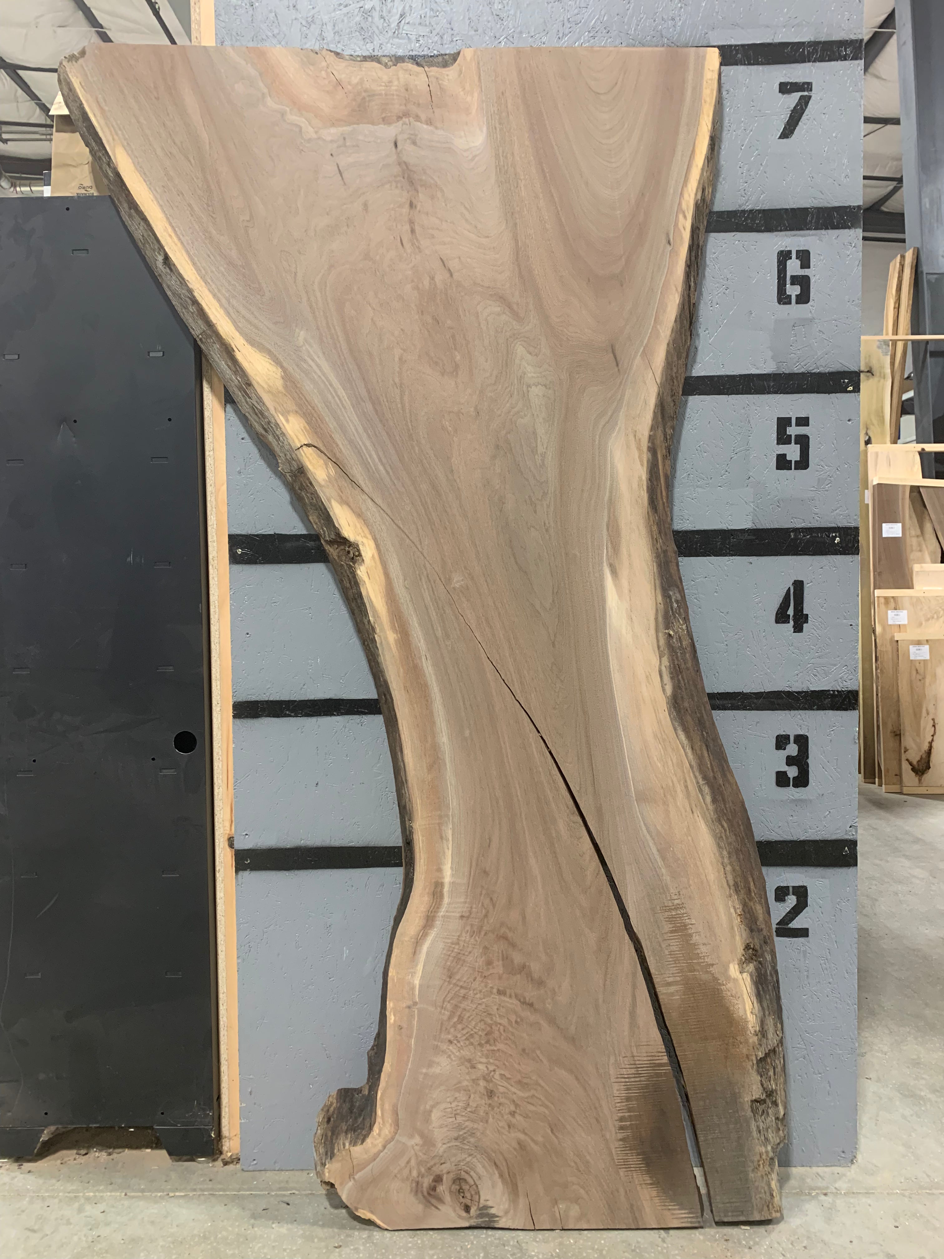Black Walnut Slab | W587