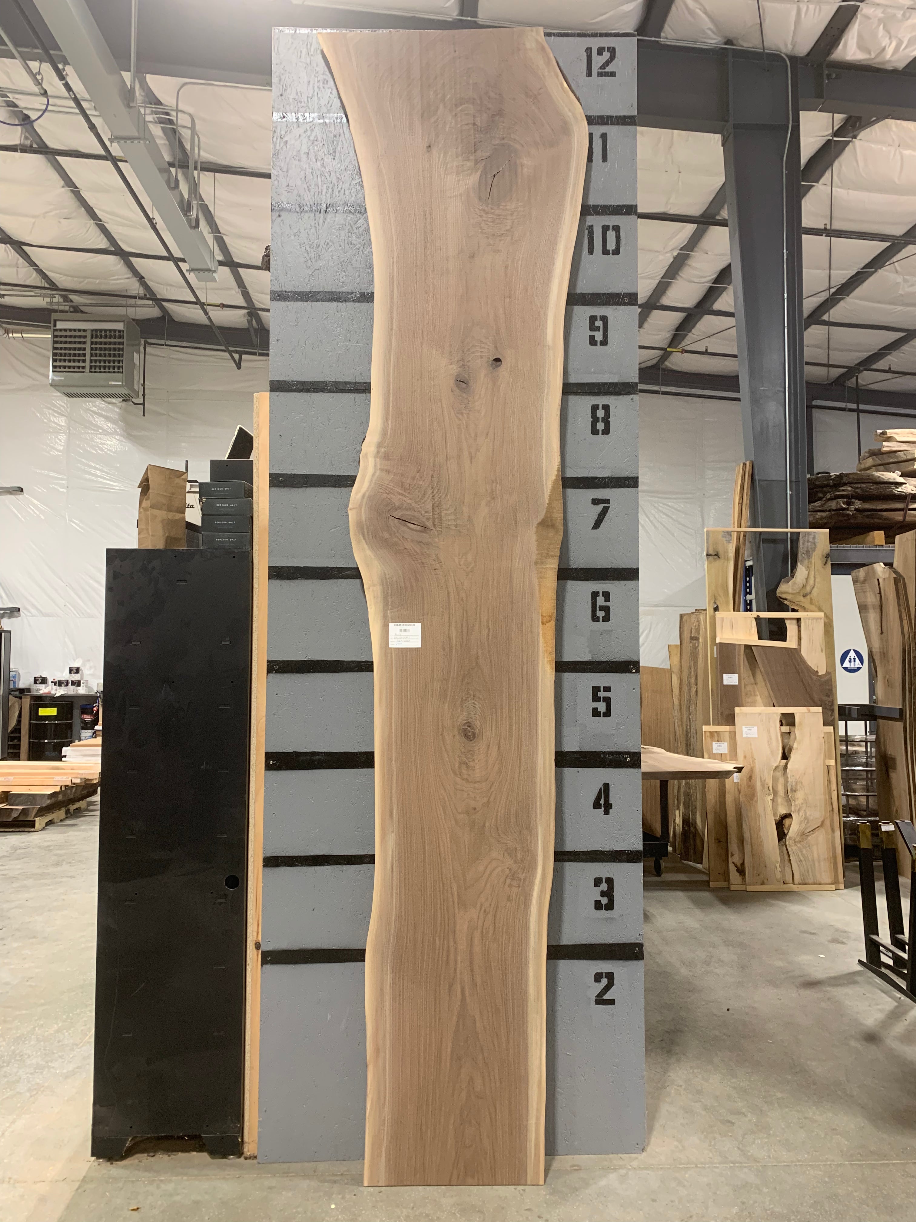 Black Walnut Slab | W588