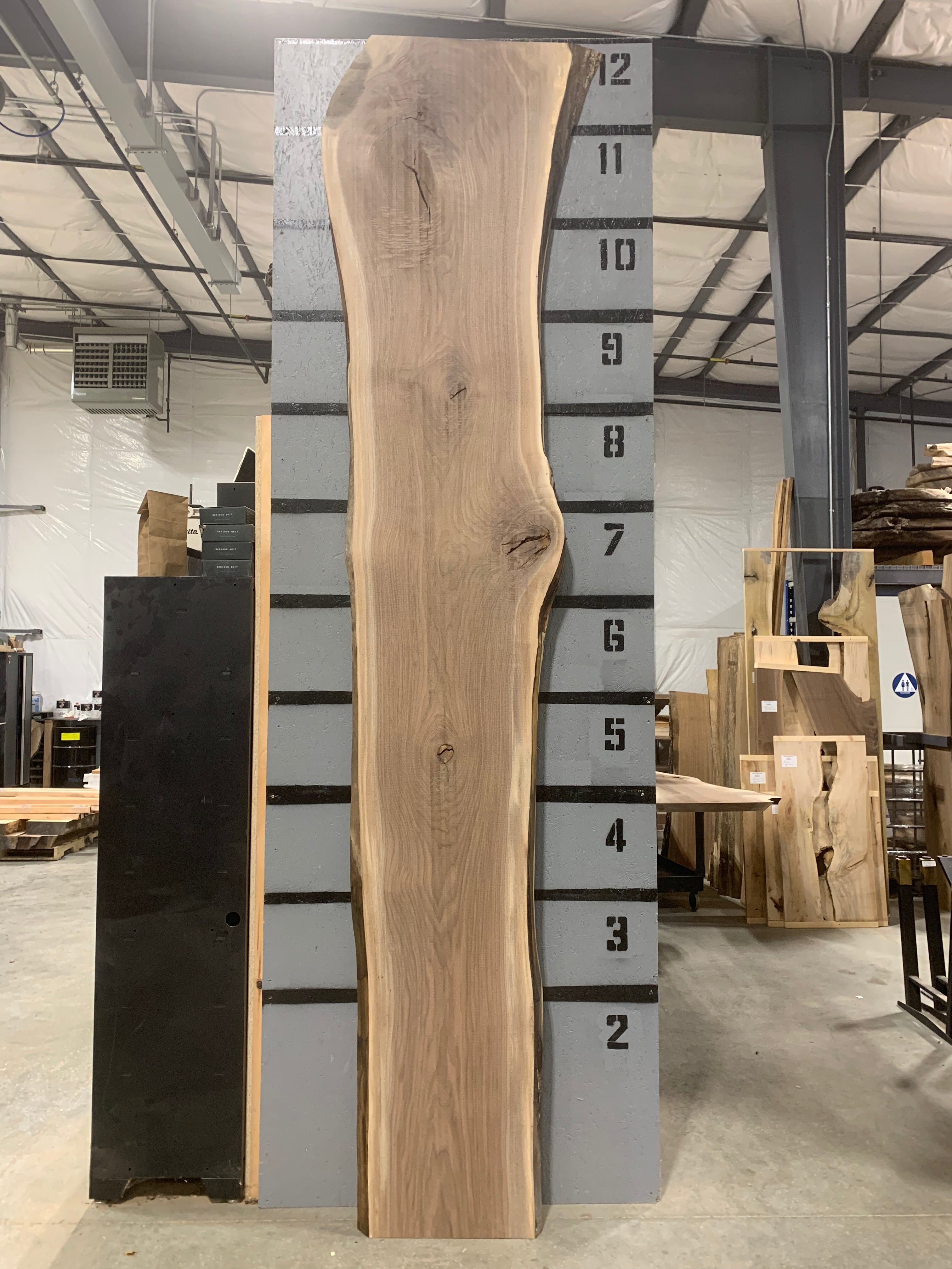 Black Walnut Slab | W588