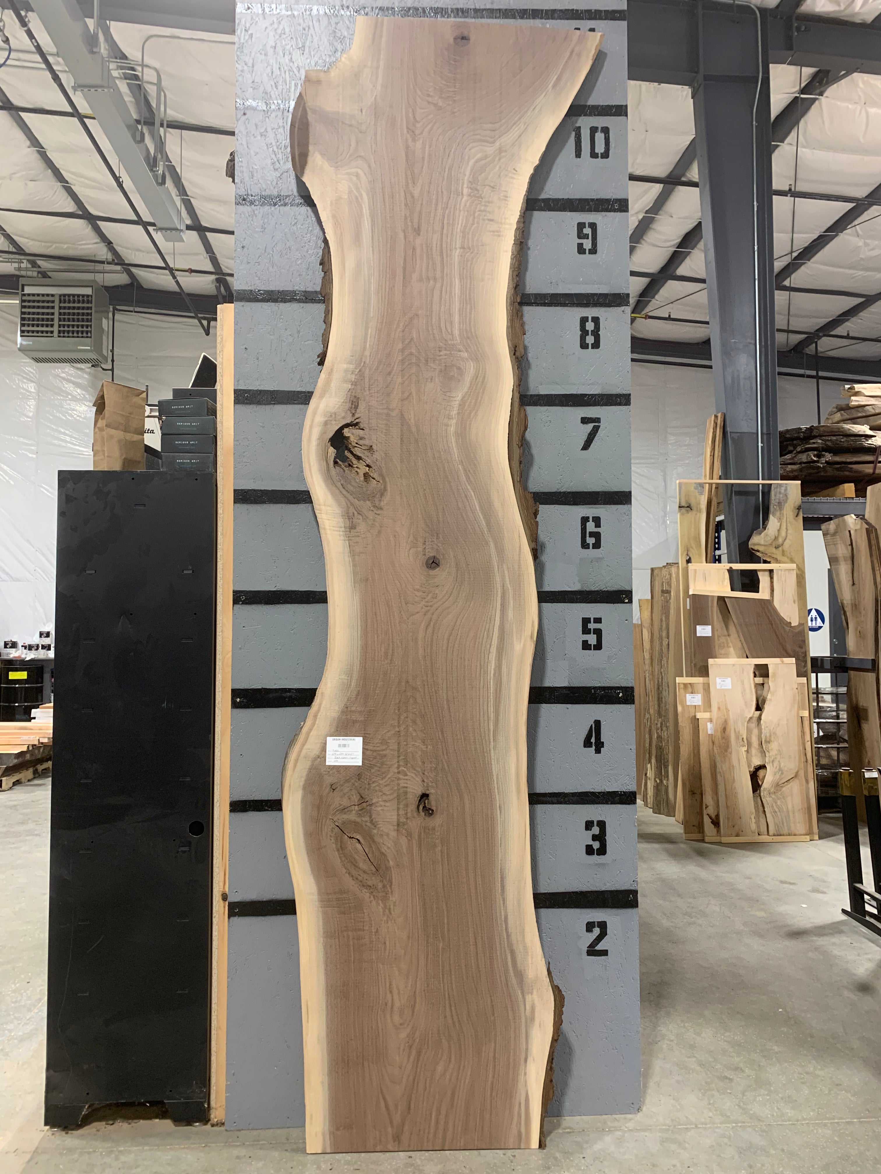 Black Walnut Slab - Figured | W591