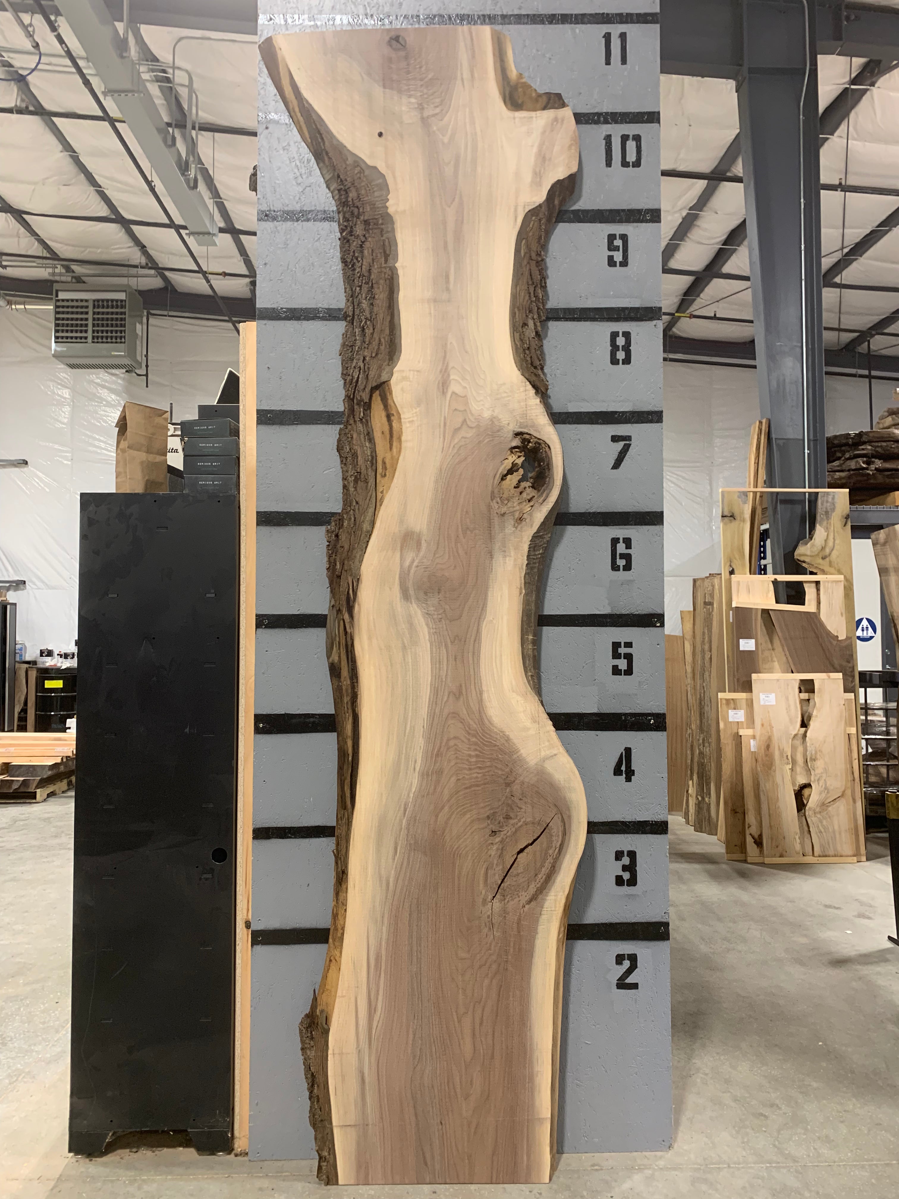 Black Walnut Slab - Figured | W591