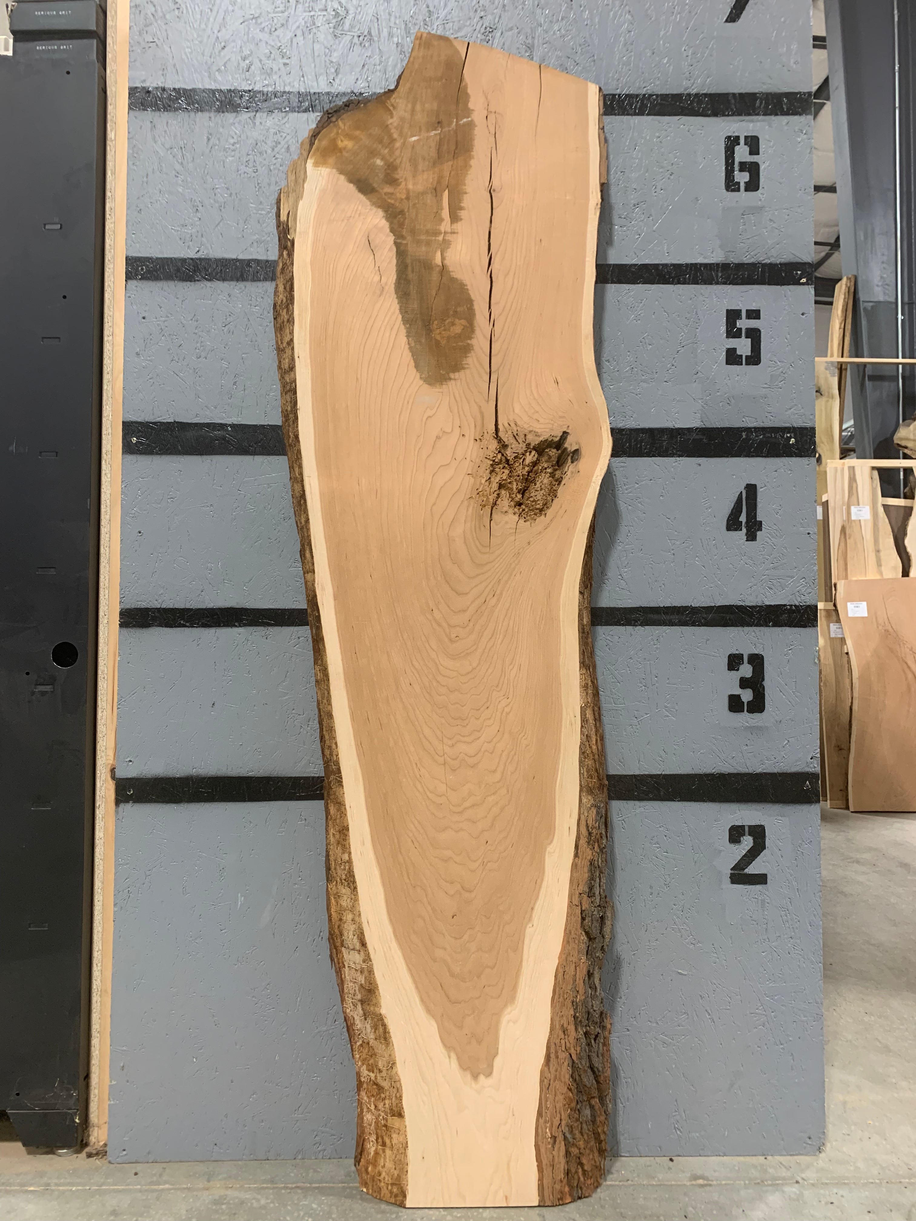 Cherry Slab | W598