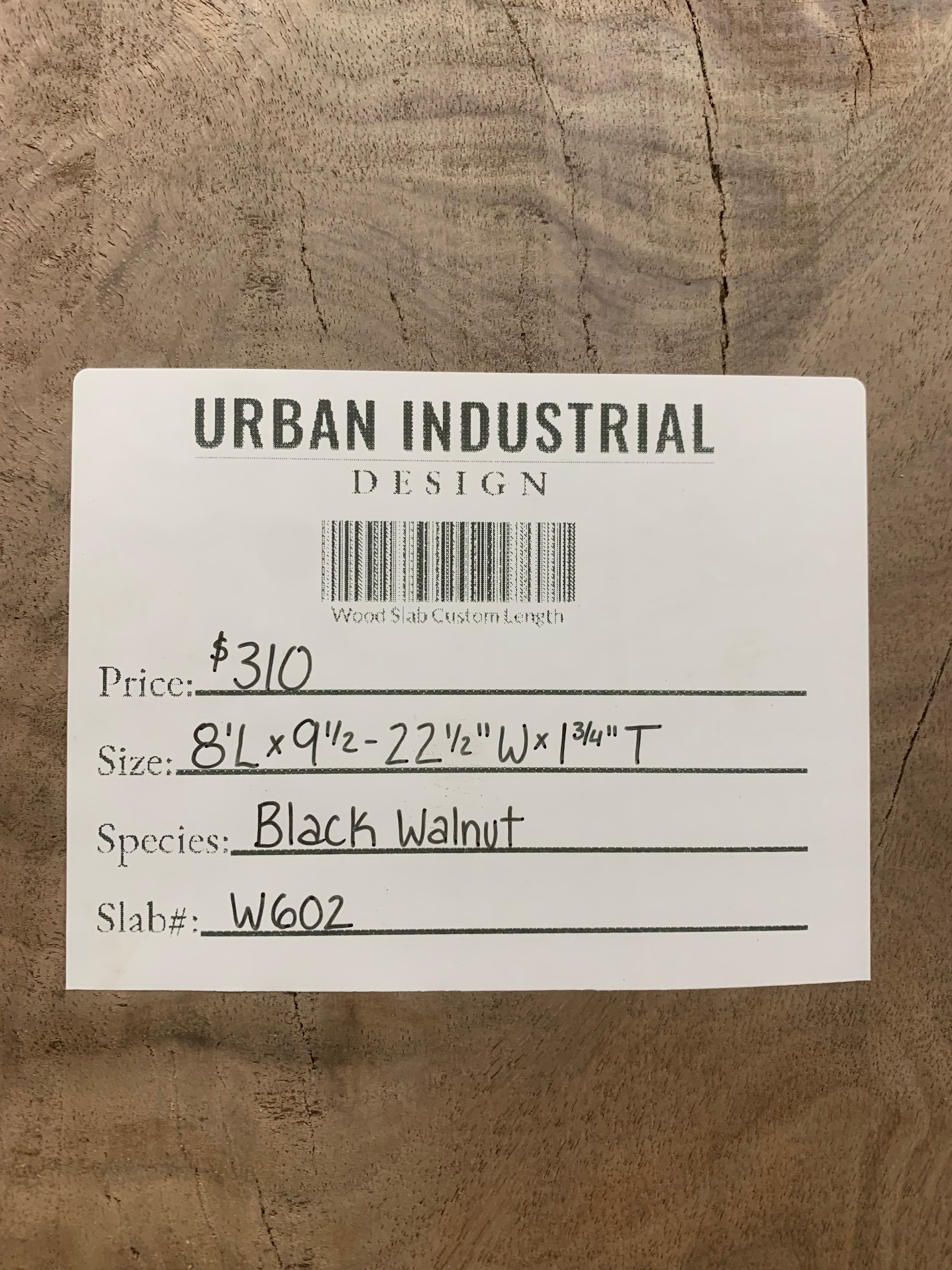 Black Walnut Slab | W602