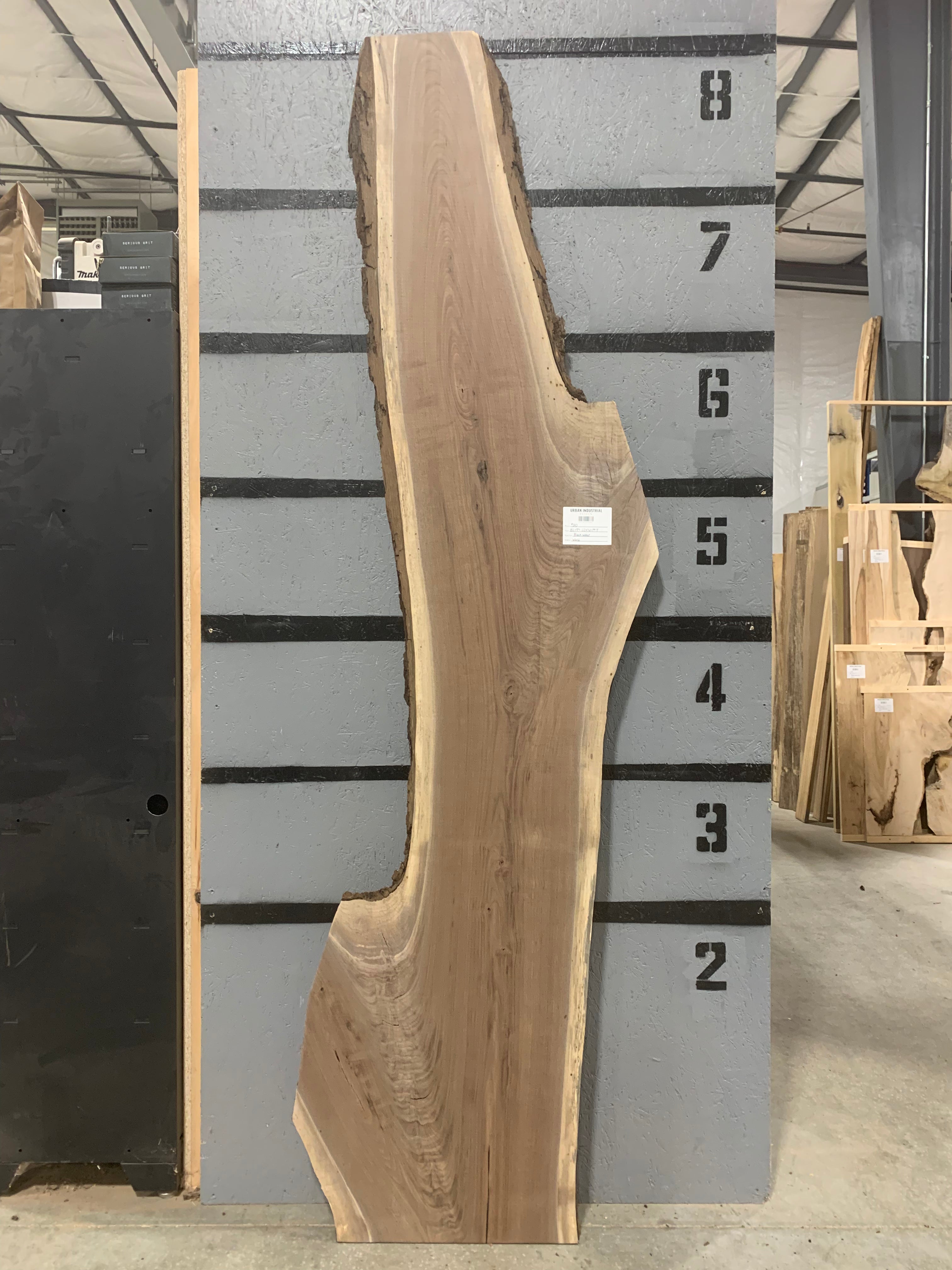 Black Walnut Slab | W602