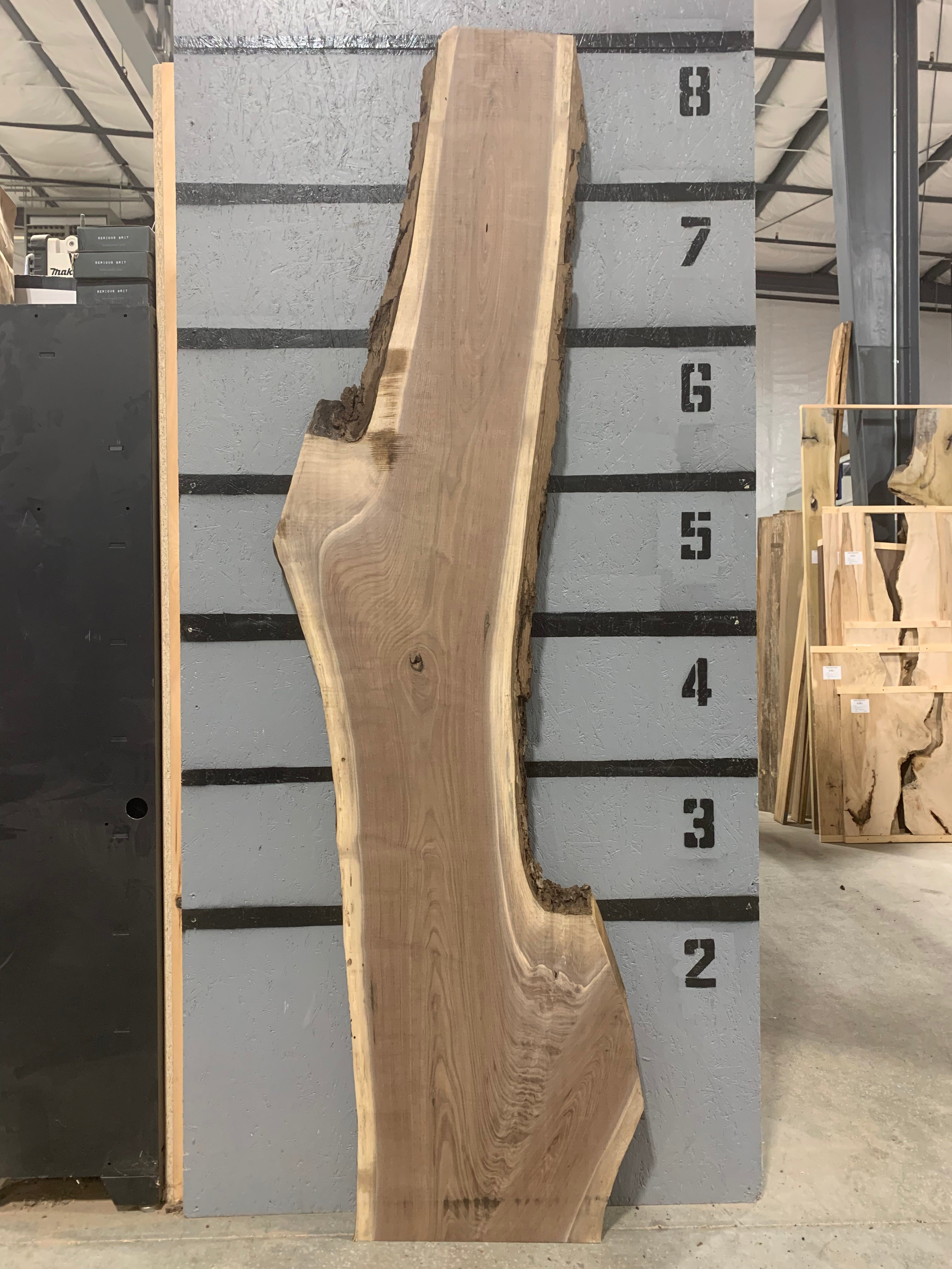 Black Walnut Slab | W602