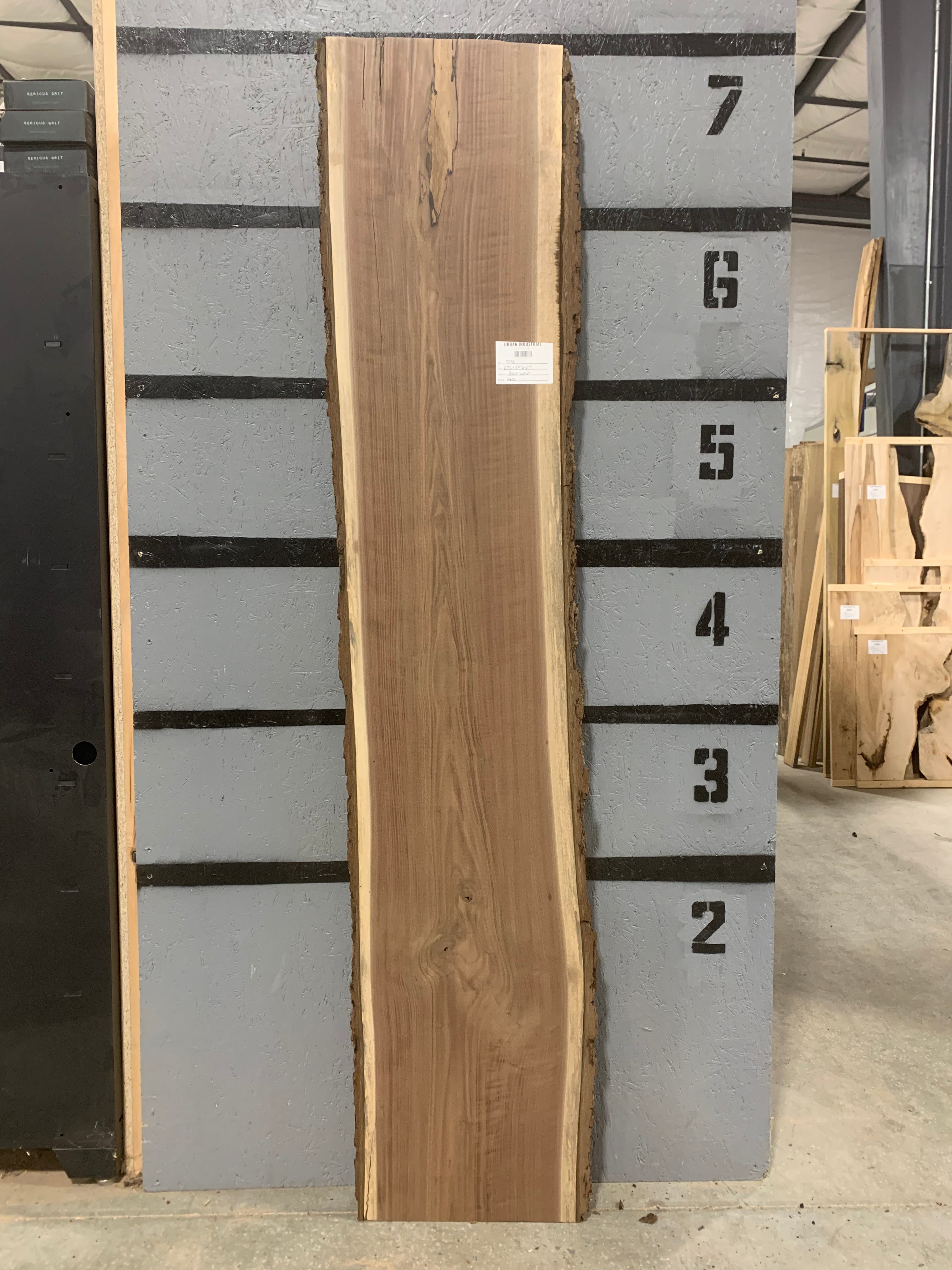 Black Walnut Slab | W605