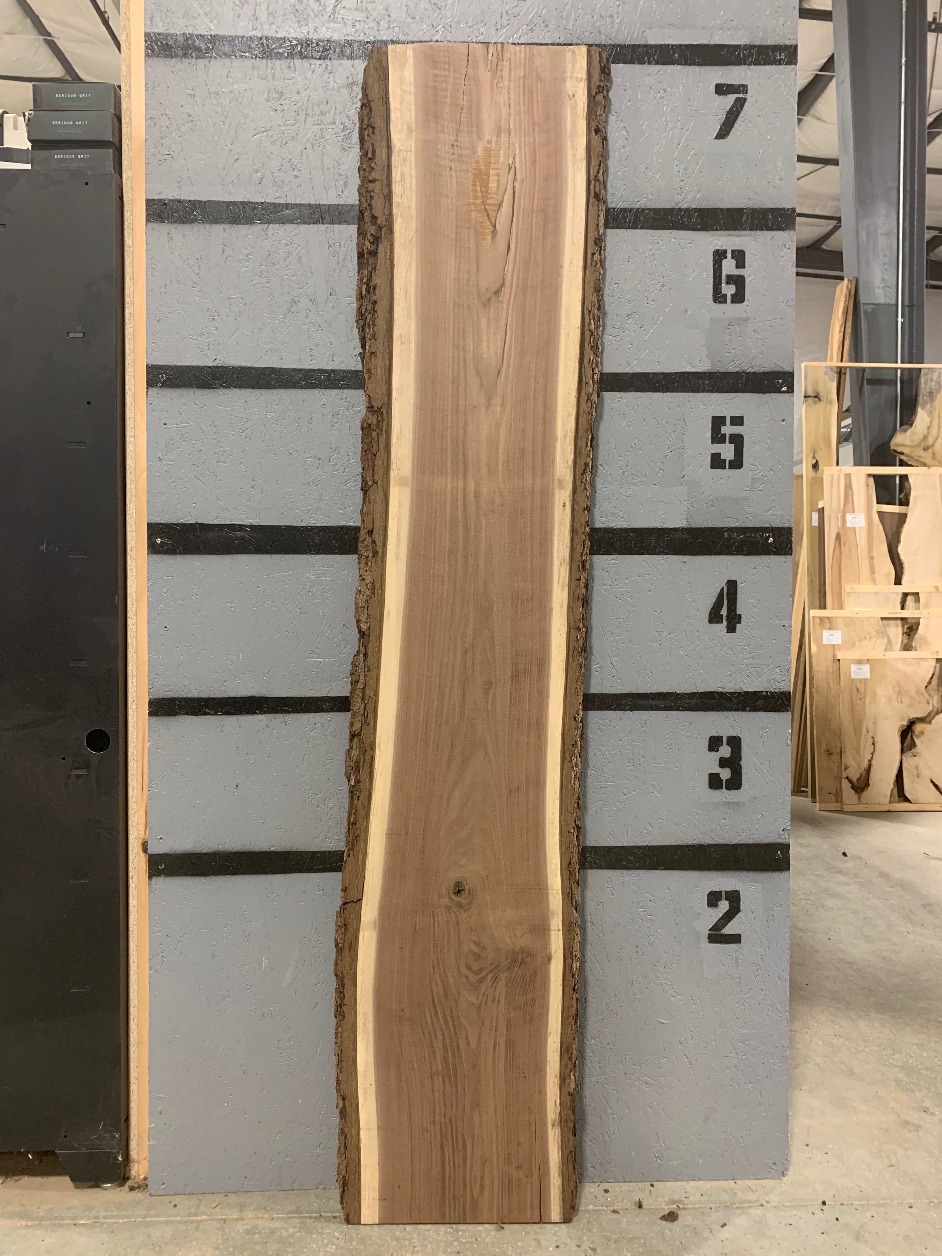 Black Walnut Slab | W605