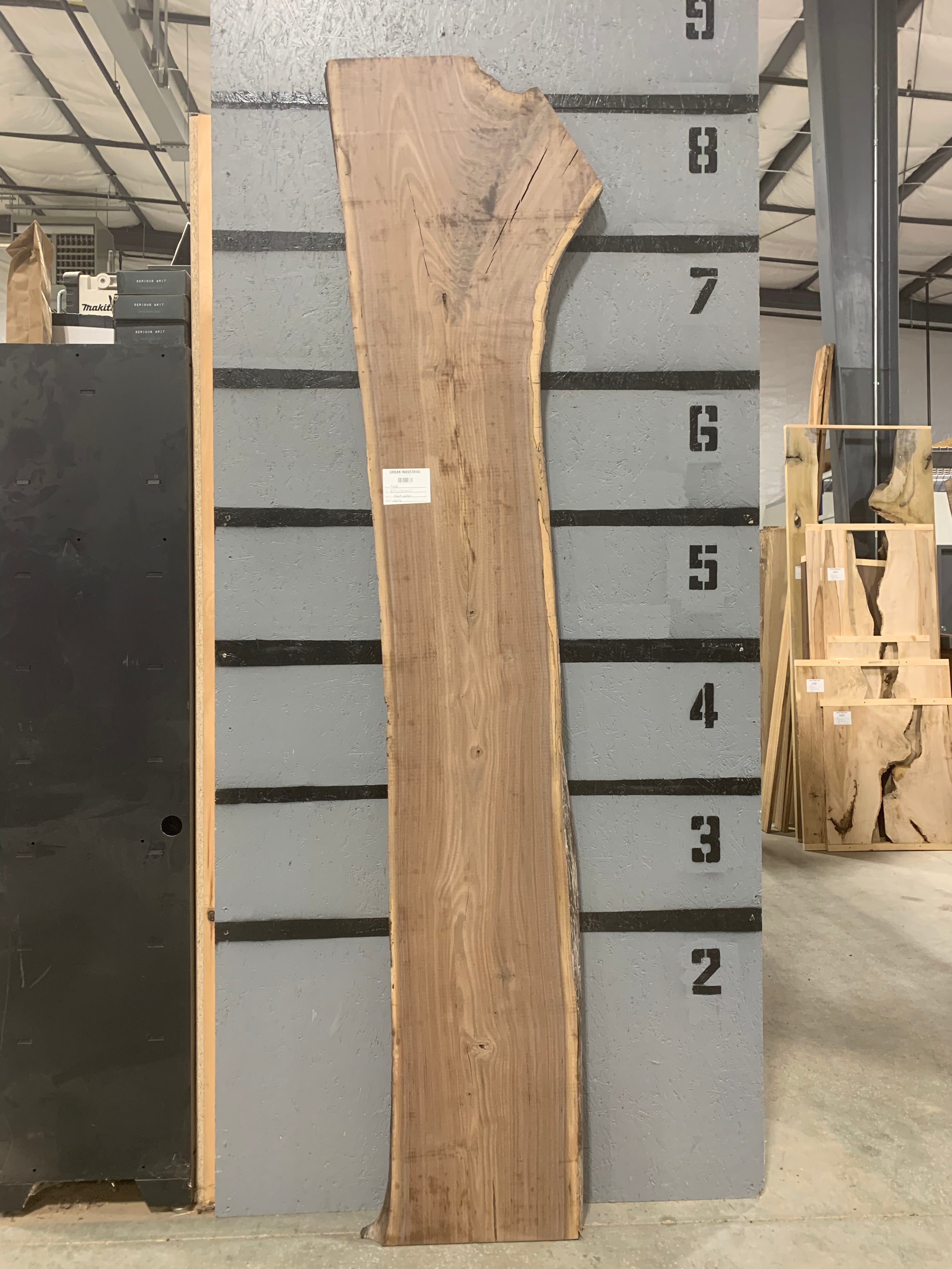 Black Walnut Slab | W606