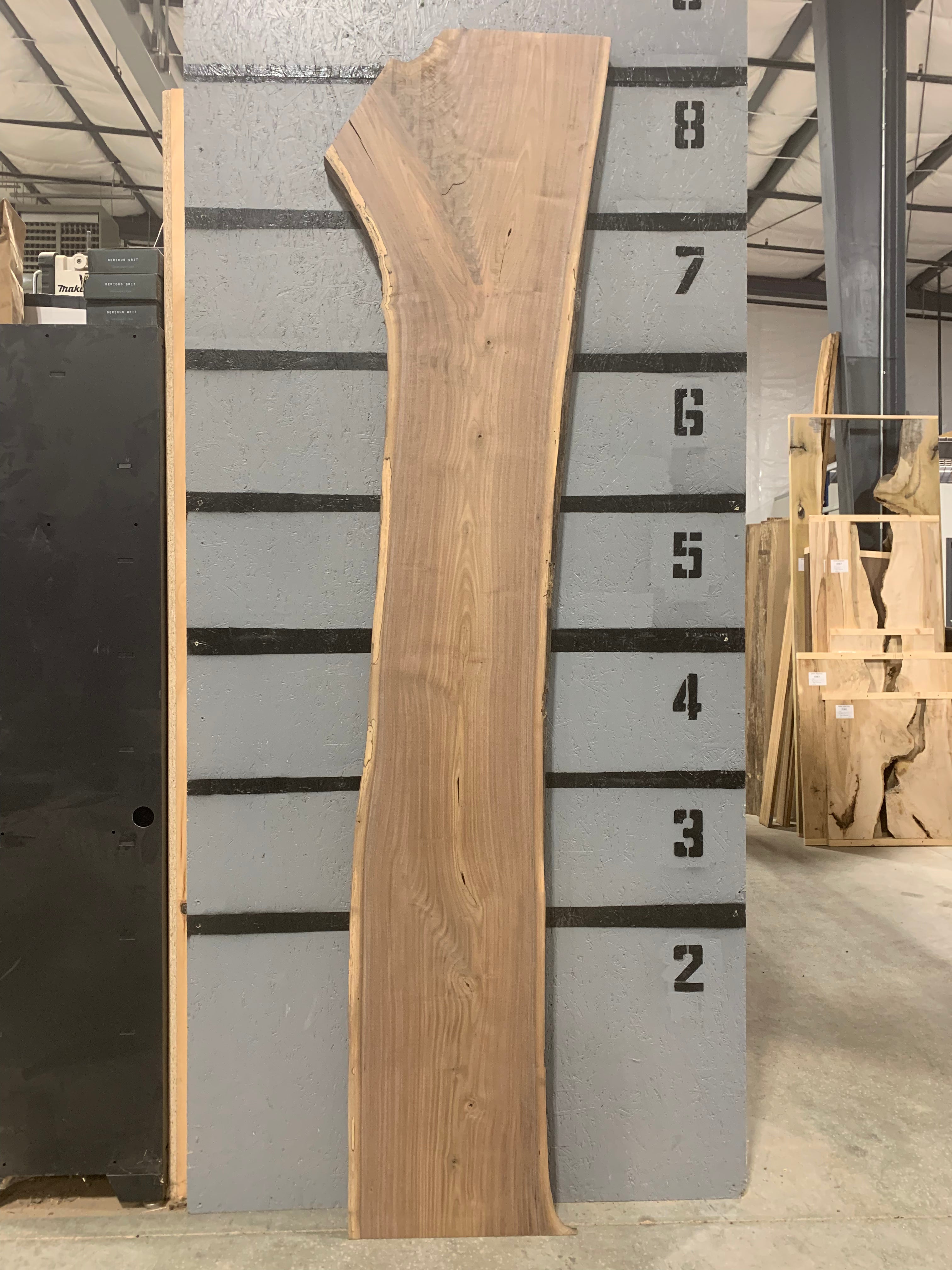 Black Walnut Slab | W606