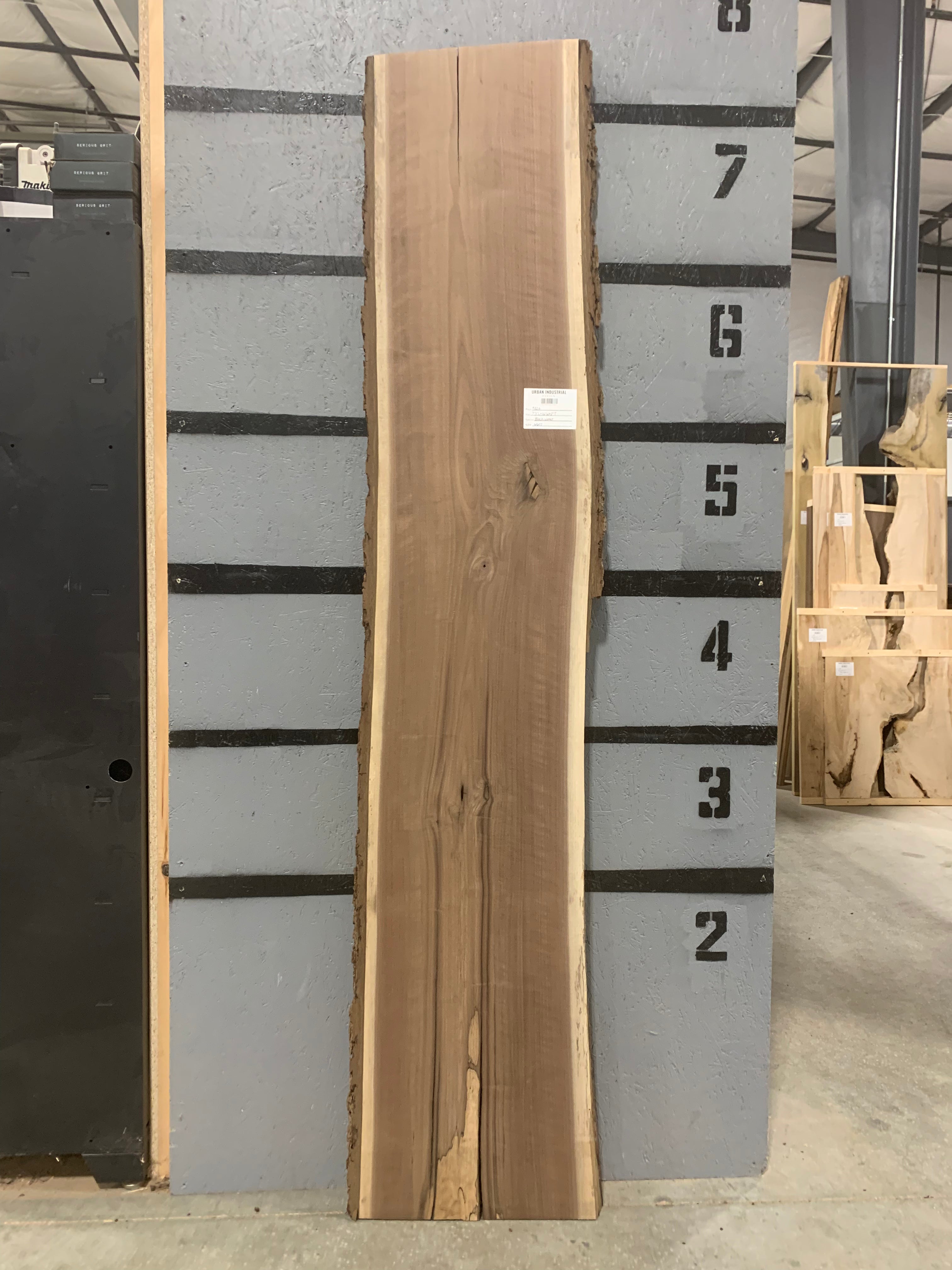 Black Walnut Slab | W607