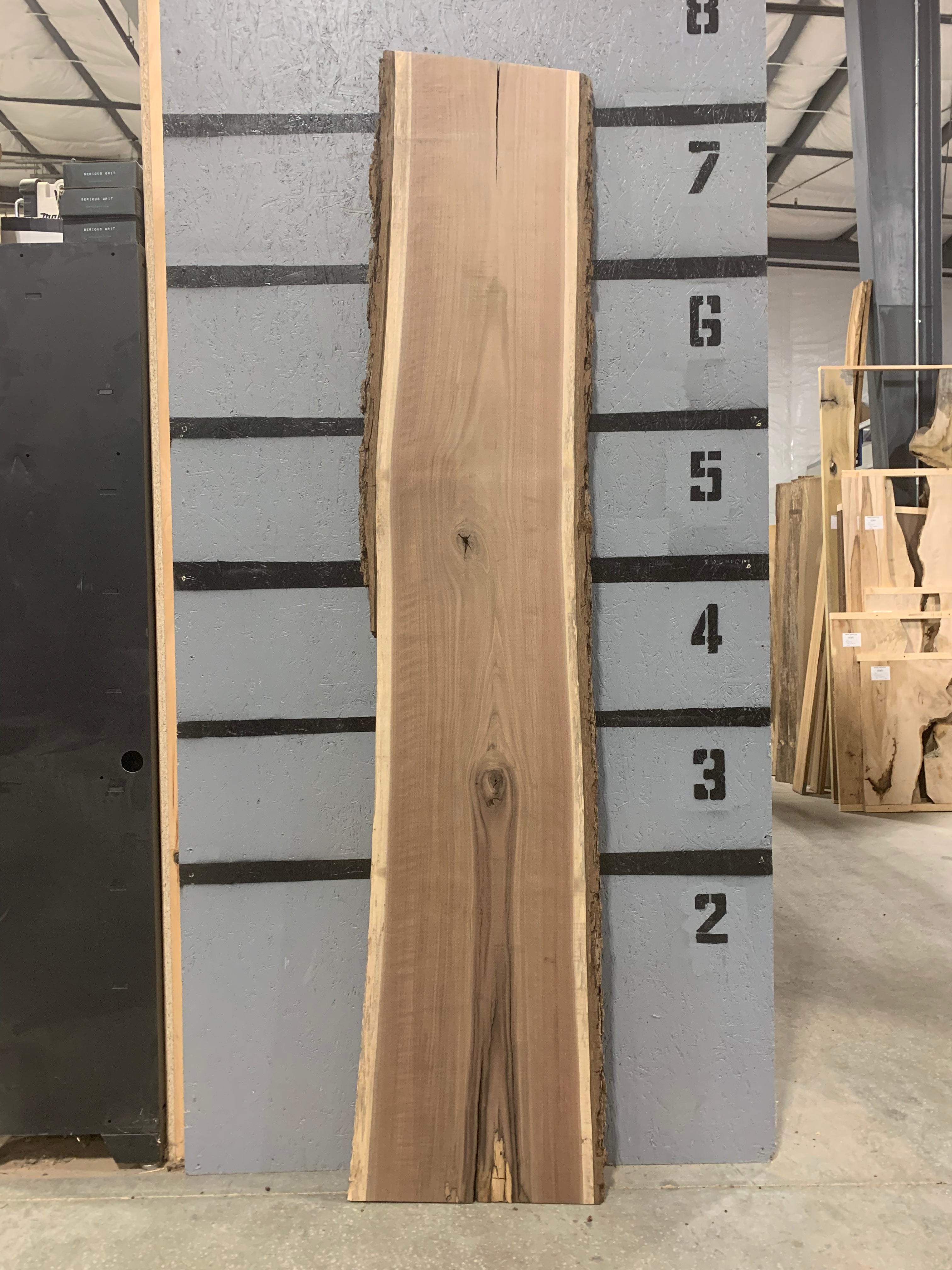 Black Walnut Slab | W607
