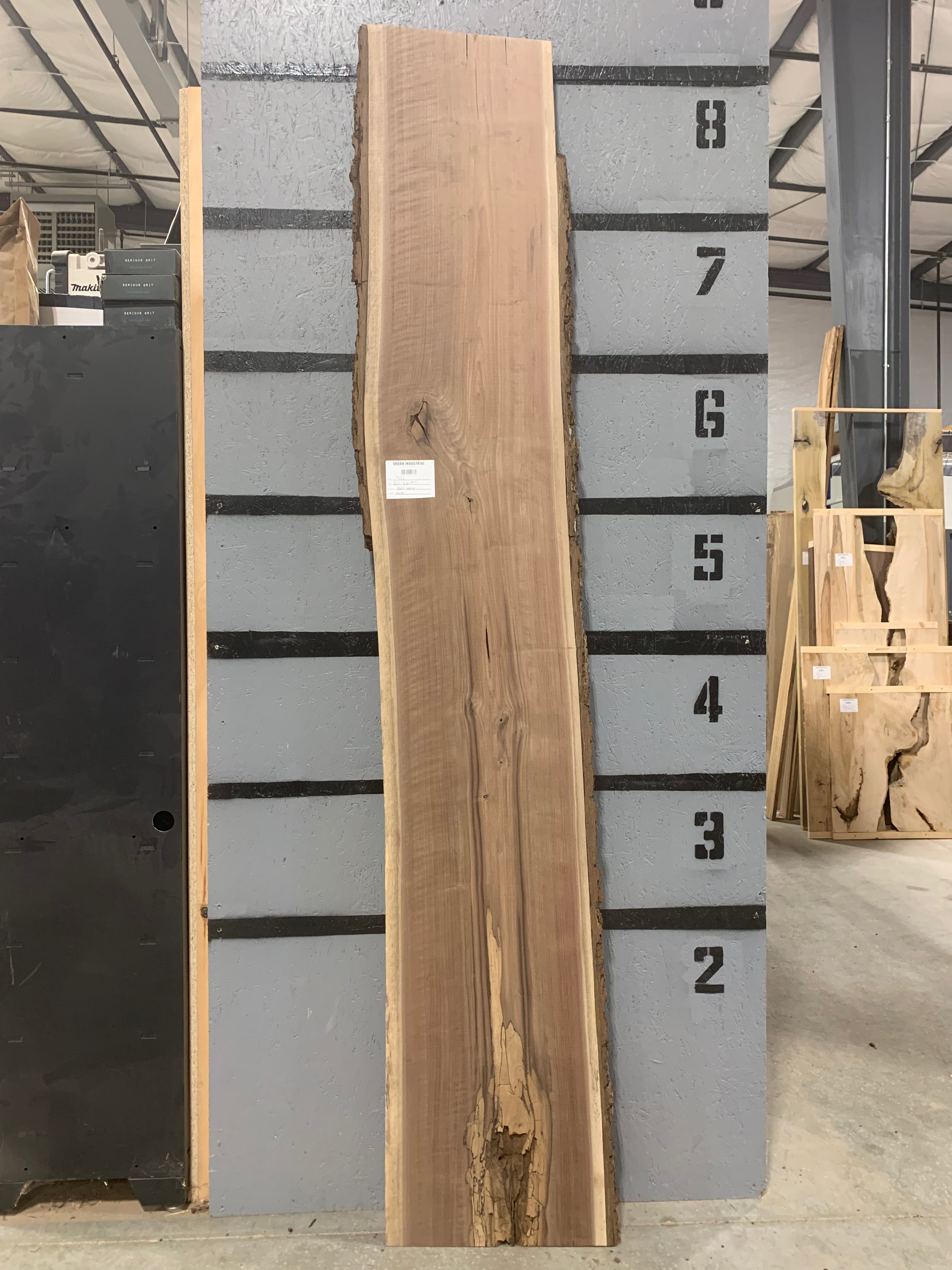 Black Walnut Slab | W608