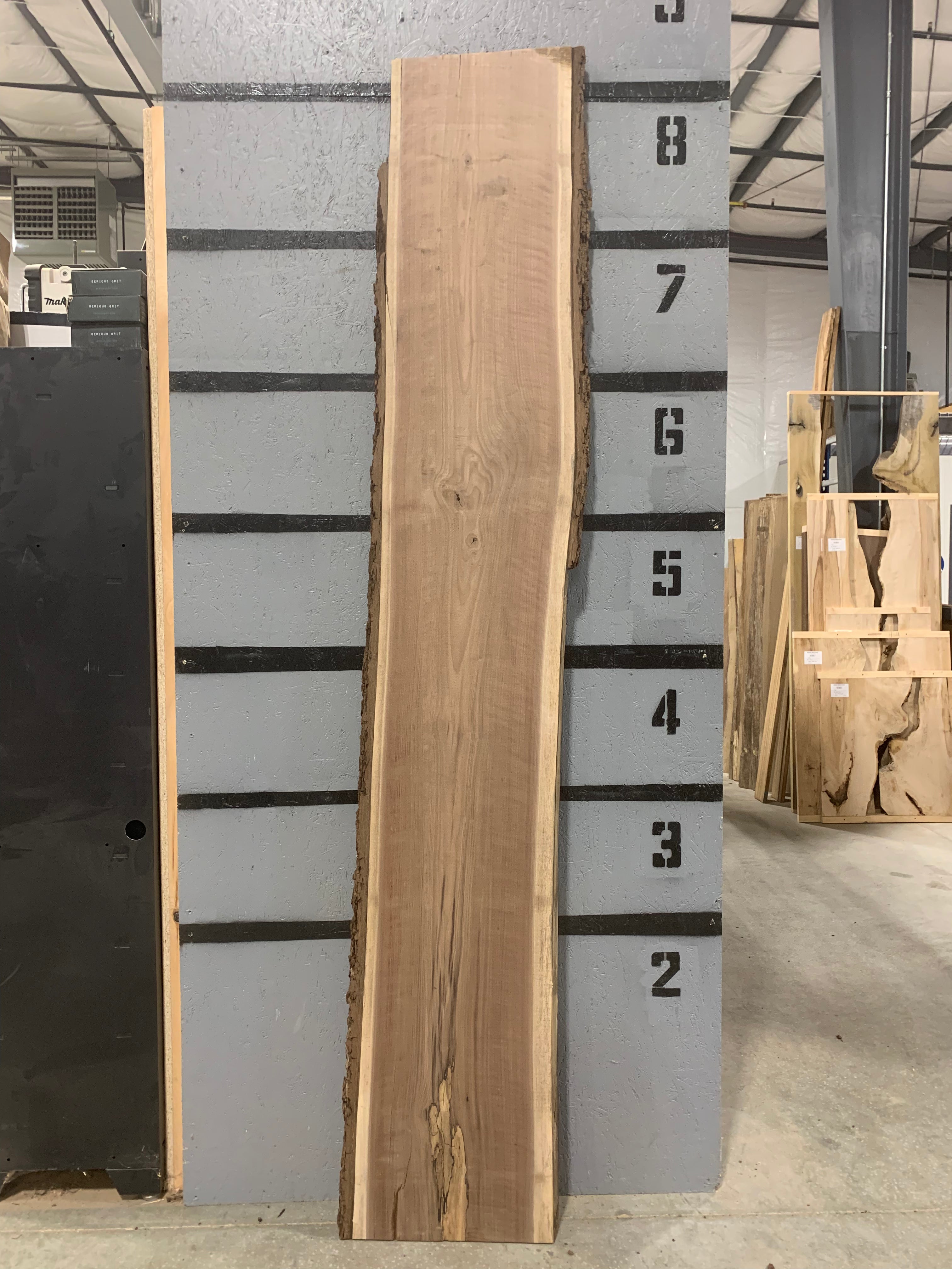 Black Walnut Slab | W608