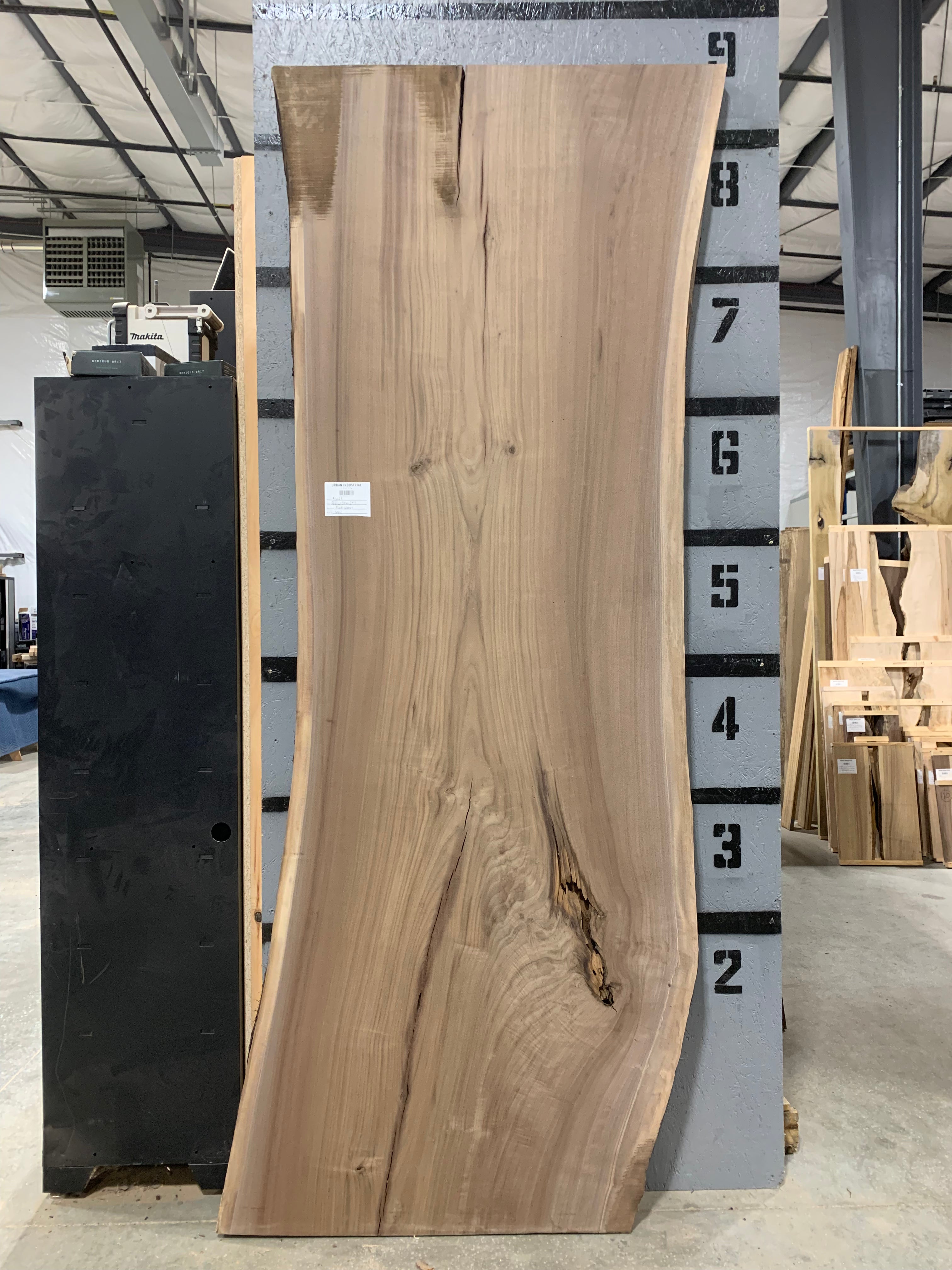 Black Walnut Slab | W612