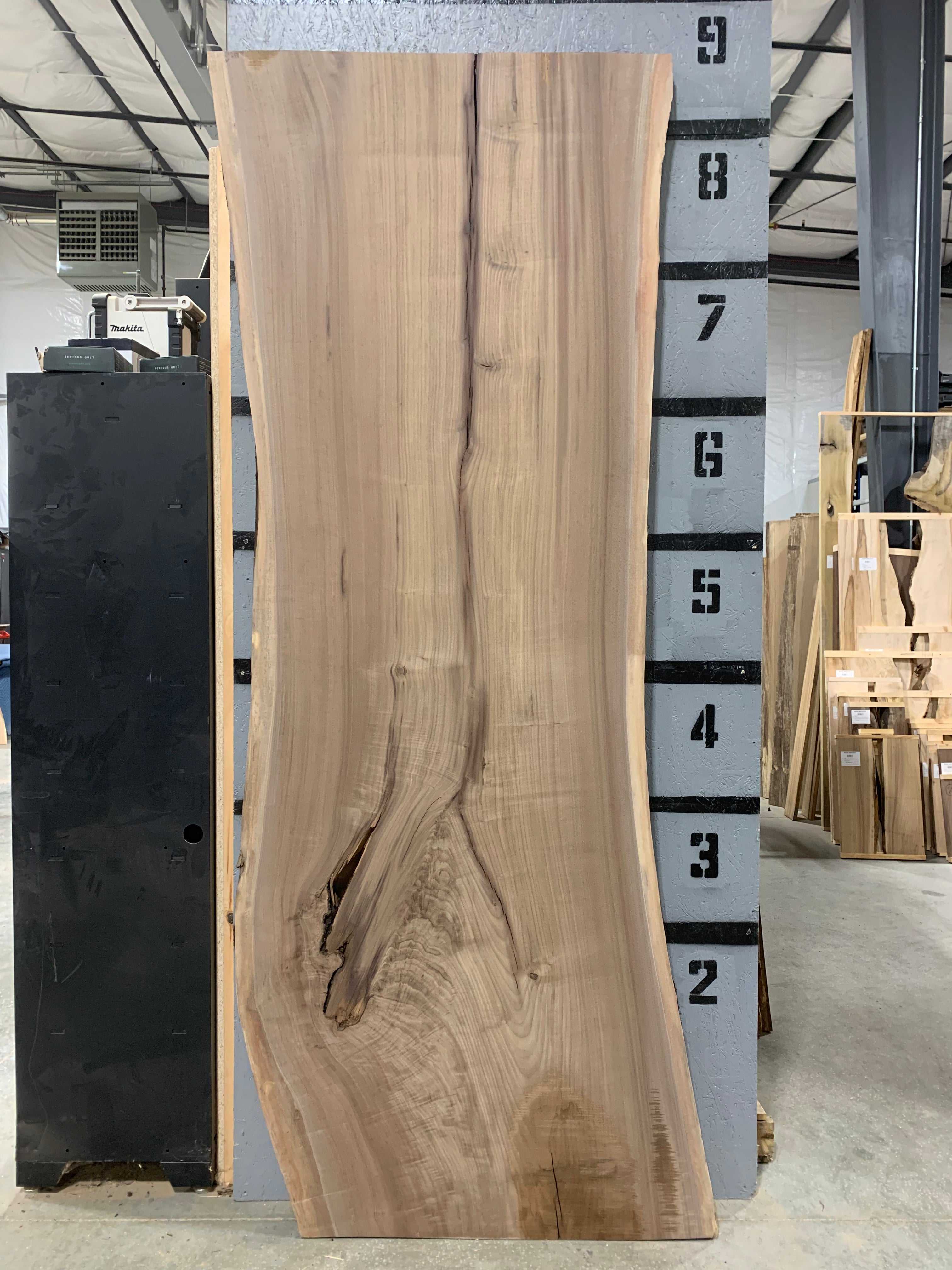 Black Walnut Slab | W612