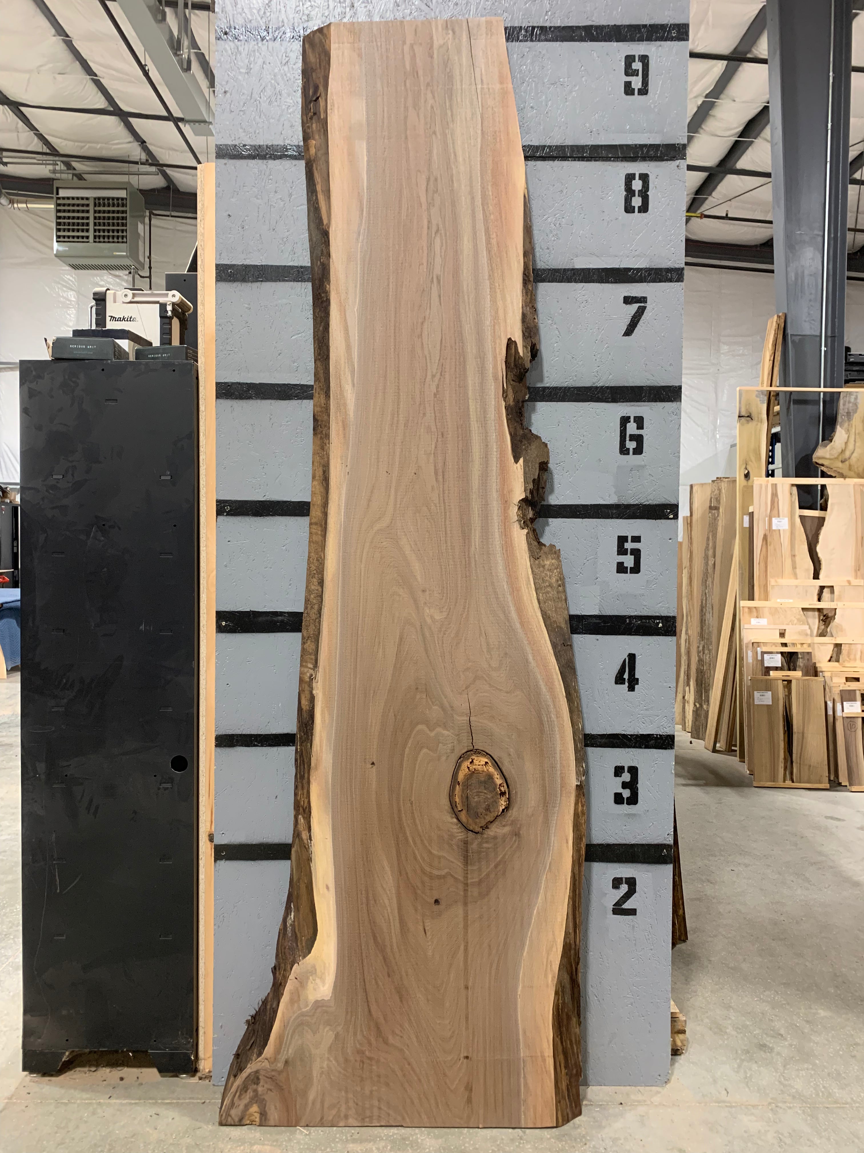 Black Walnut Slab | W613