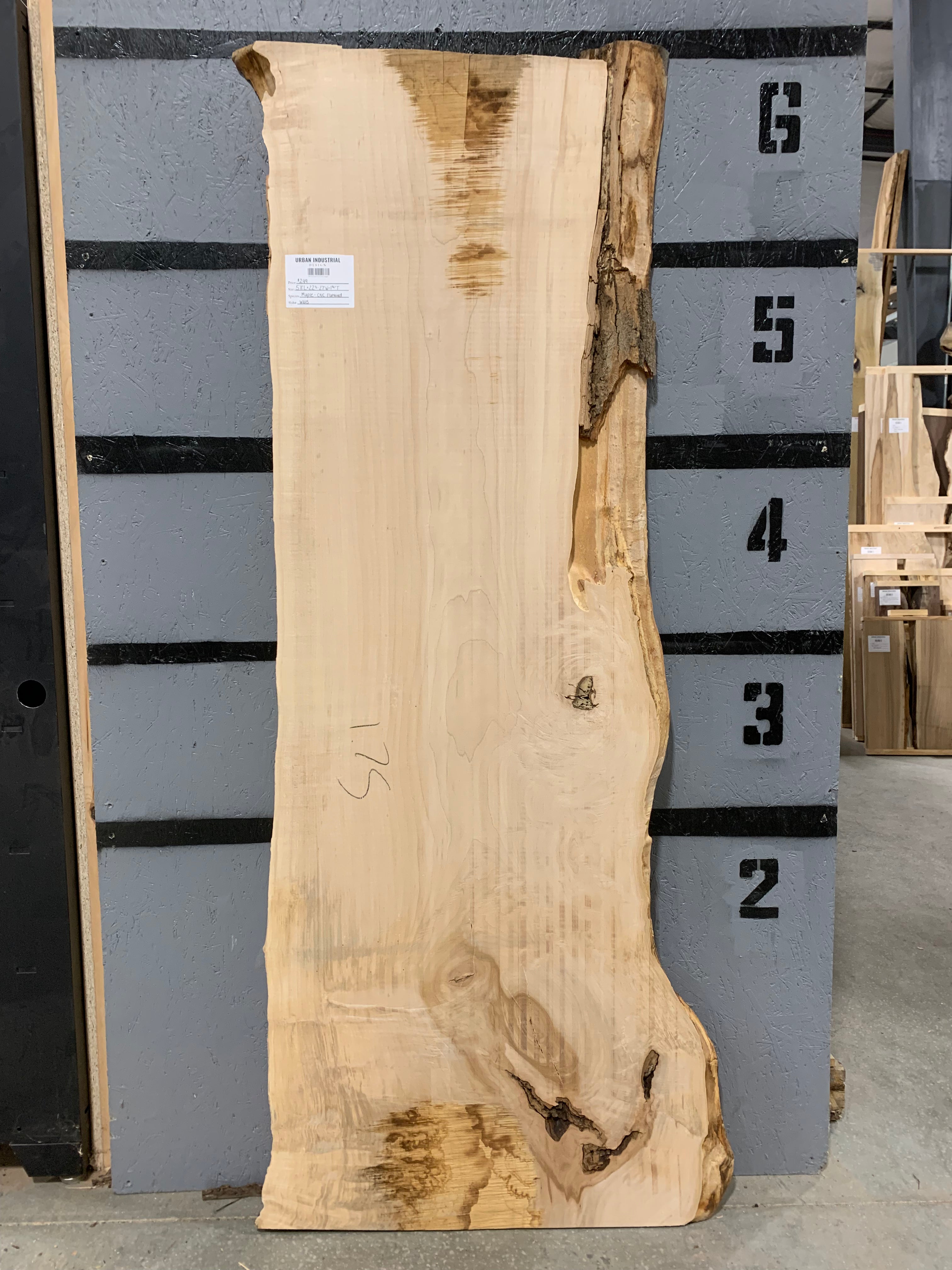 Maple Slab - CNC Flattened | W615