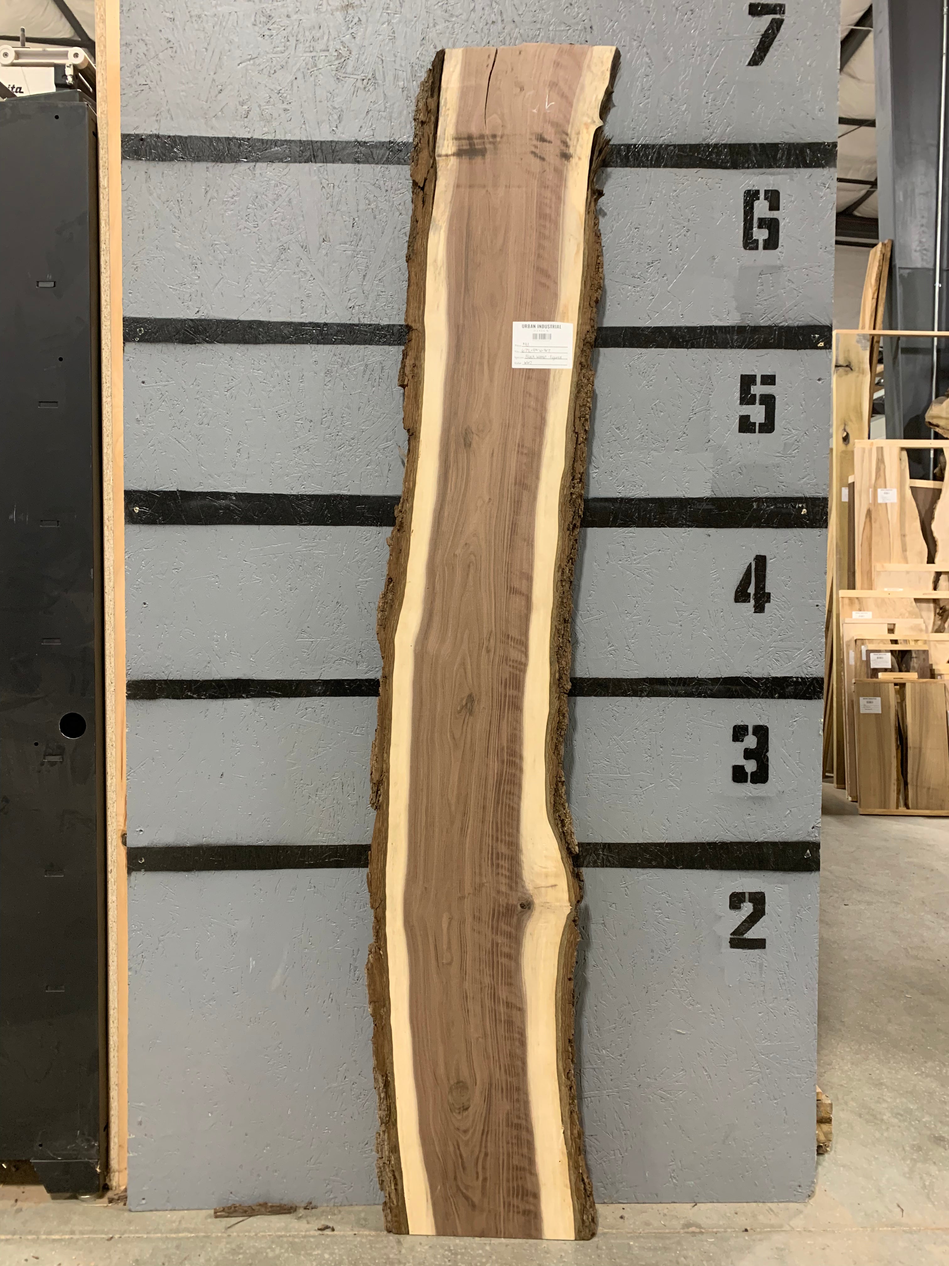 Black Walnut Slab - Figured | W617