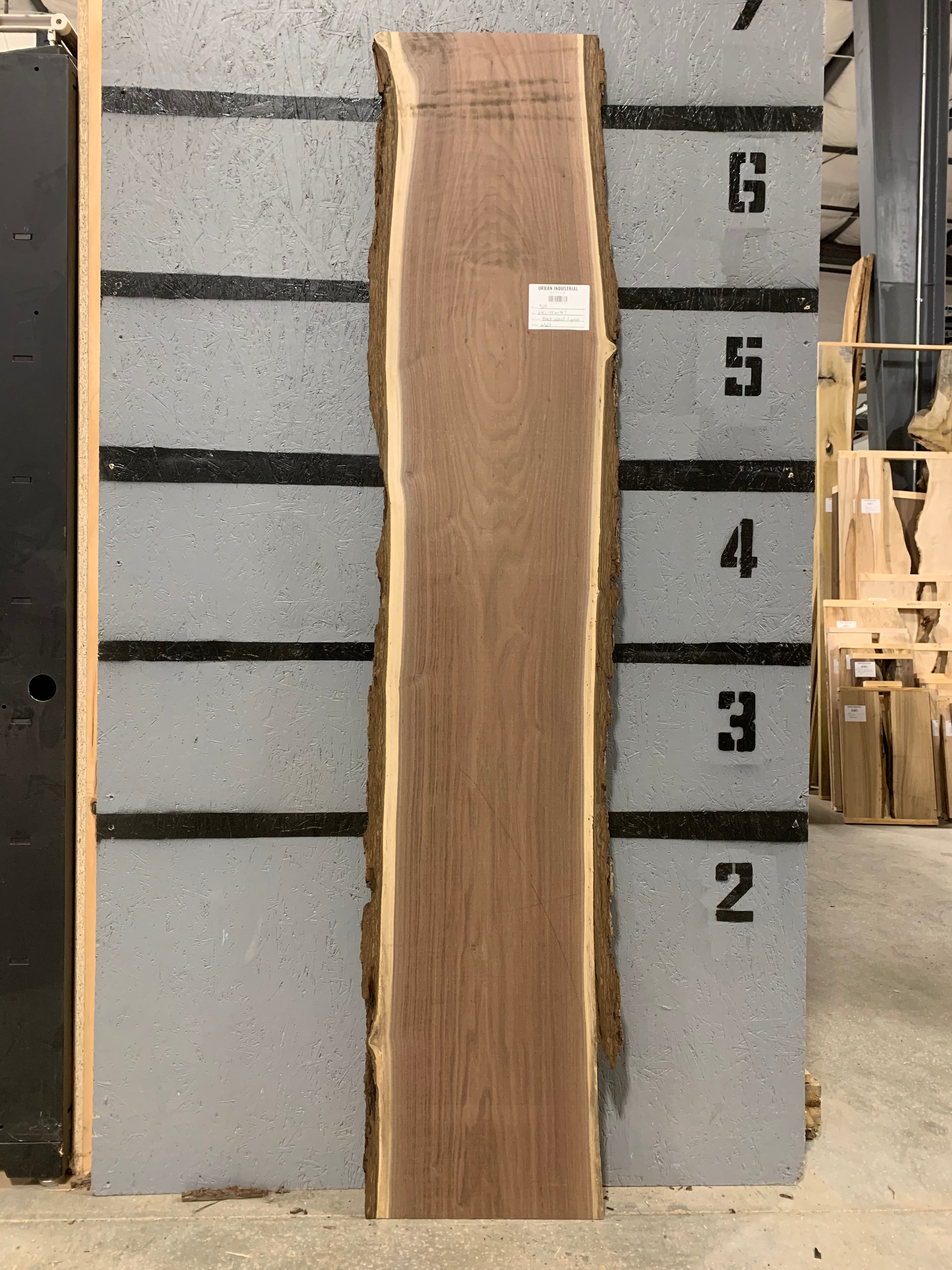 Black Walnut Slab - Figured | W620