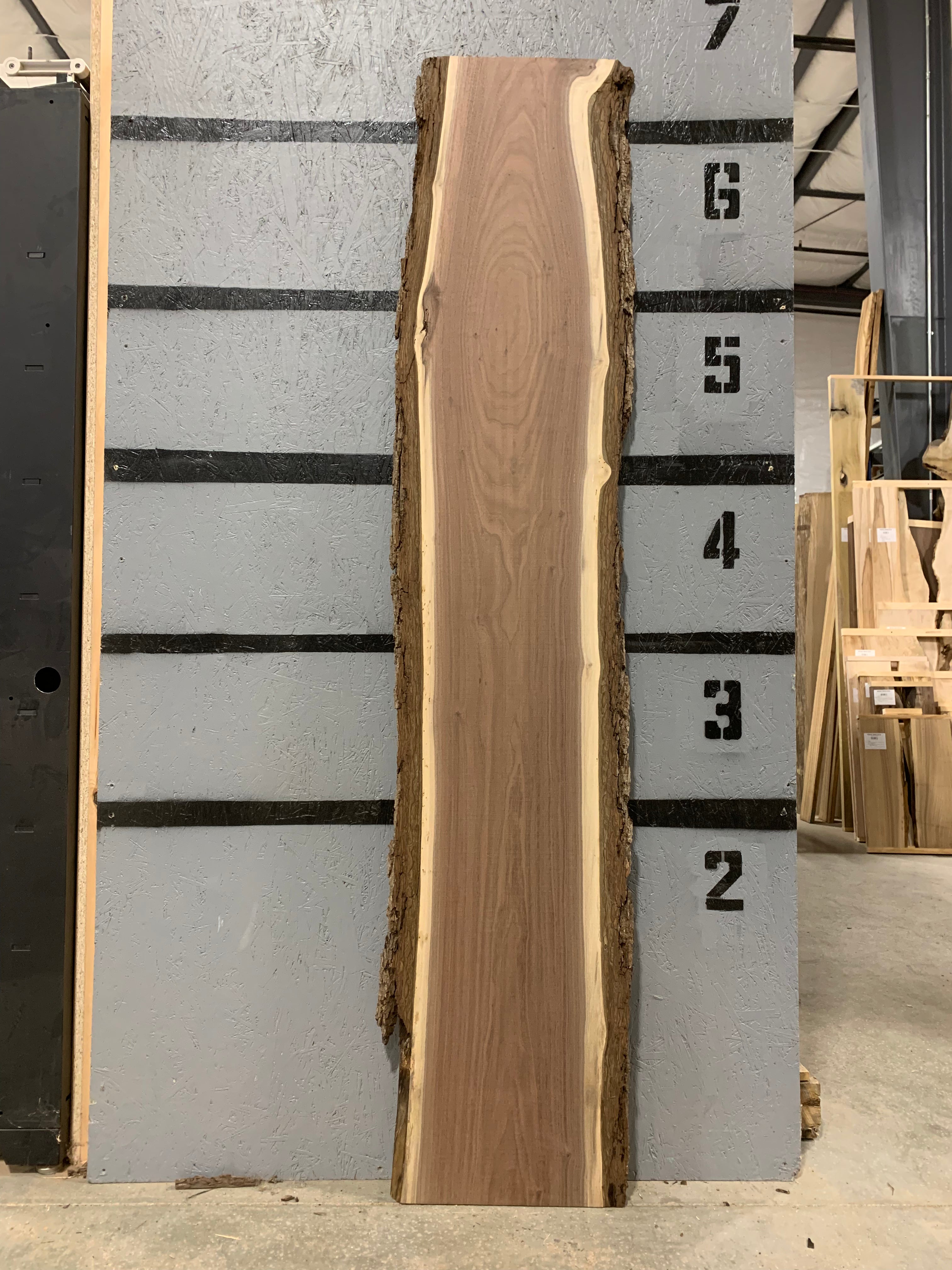 Black Walnut Slab - Figured | W620