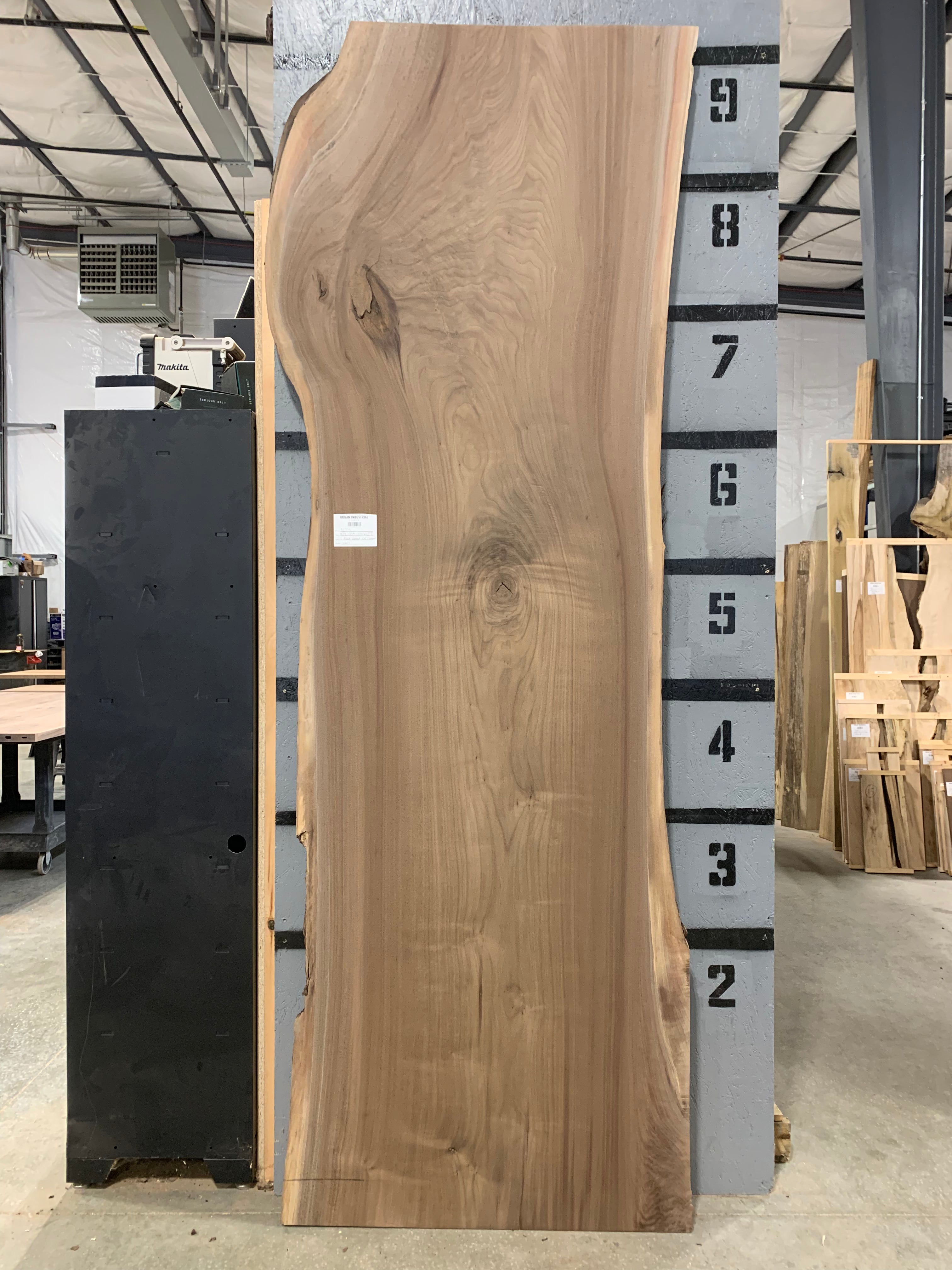 Black Walnut Slab - CNC Flattened | W623