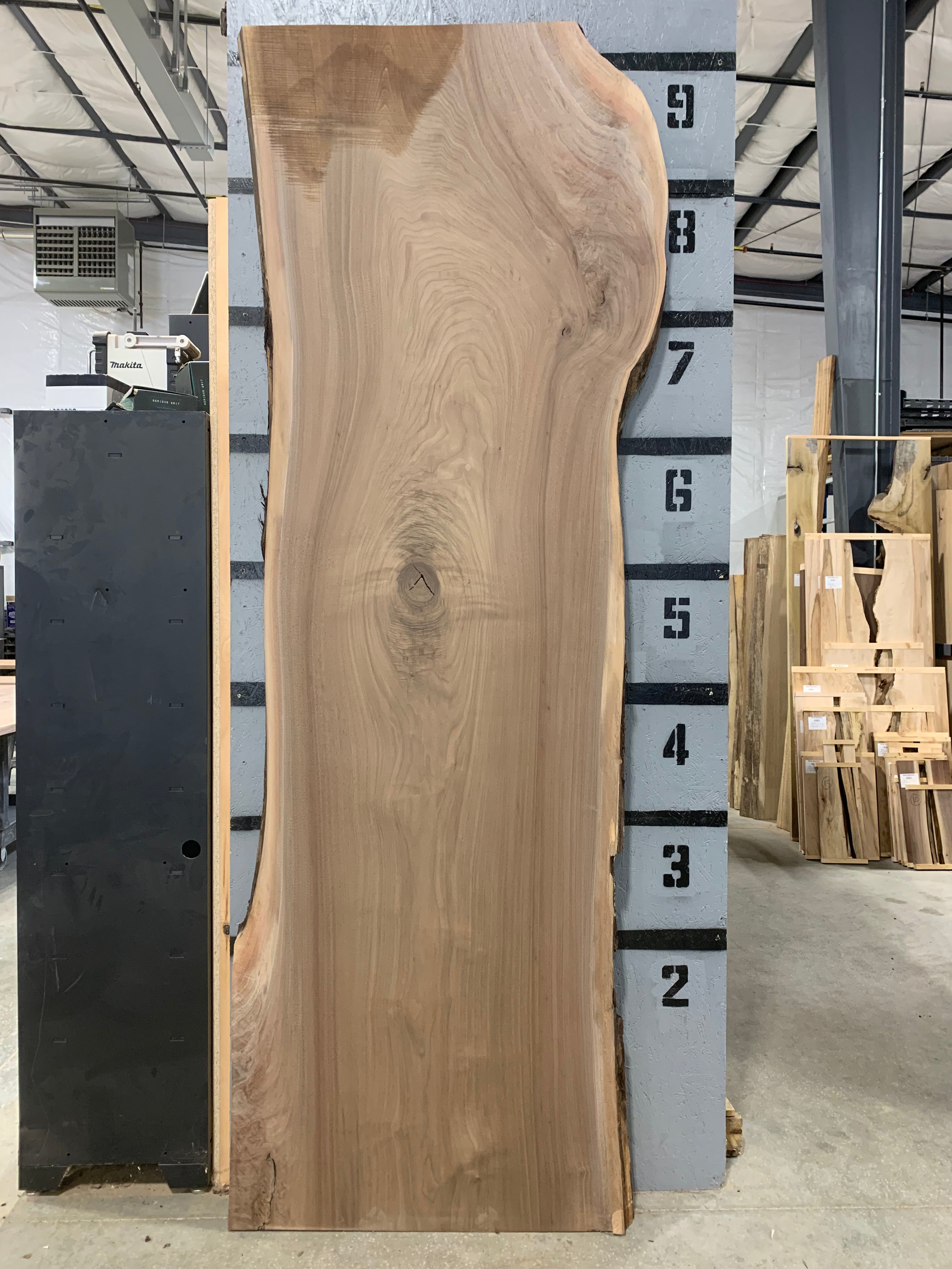 Black Walnut Slab - CNC Flattened | W623