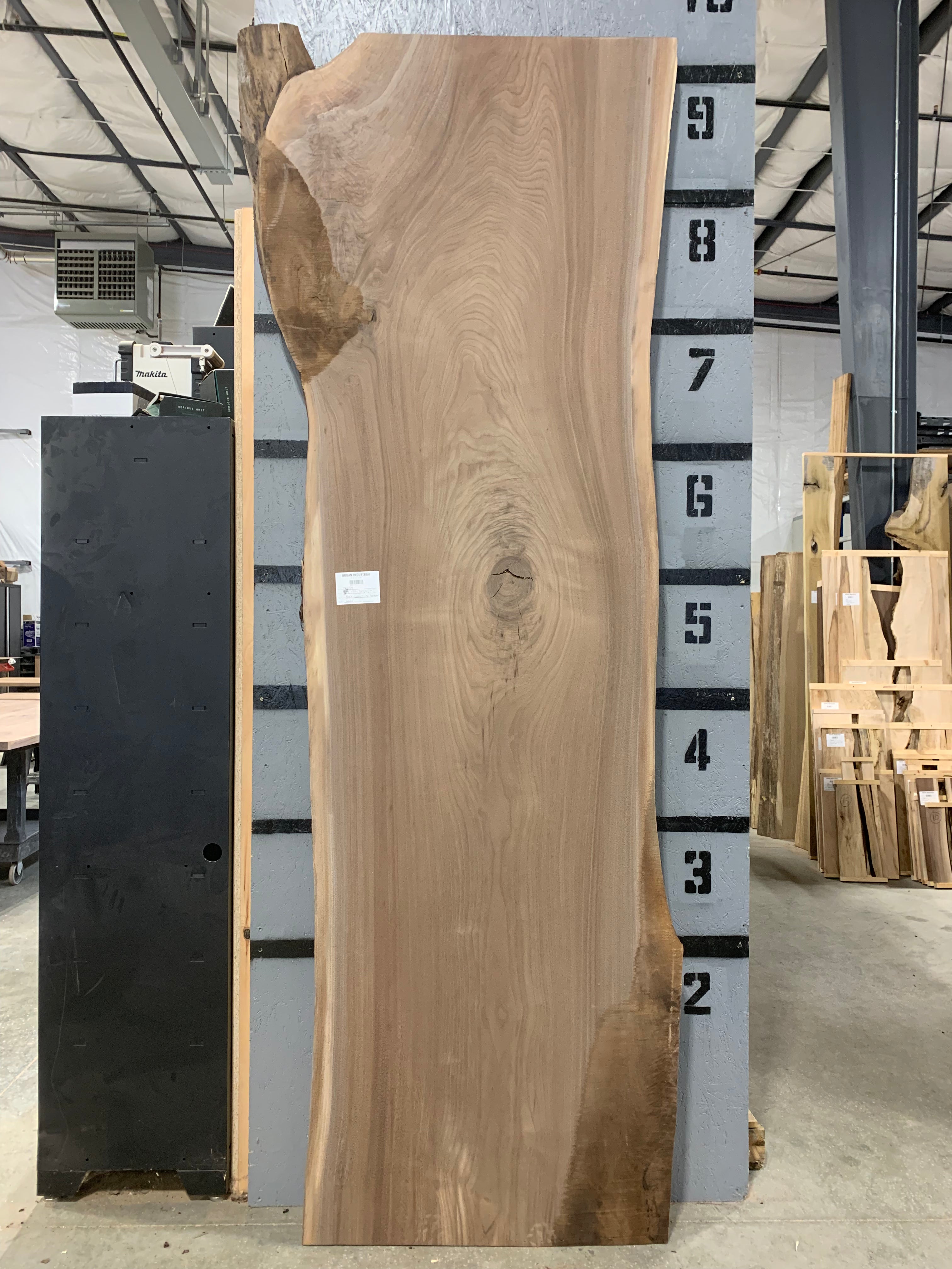 Black Walnut Slab - CNC Flattened | W624