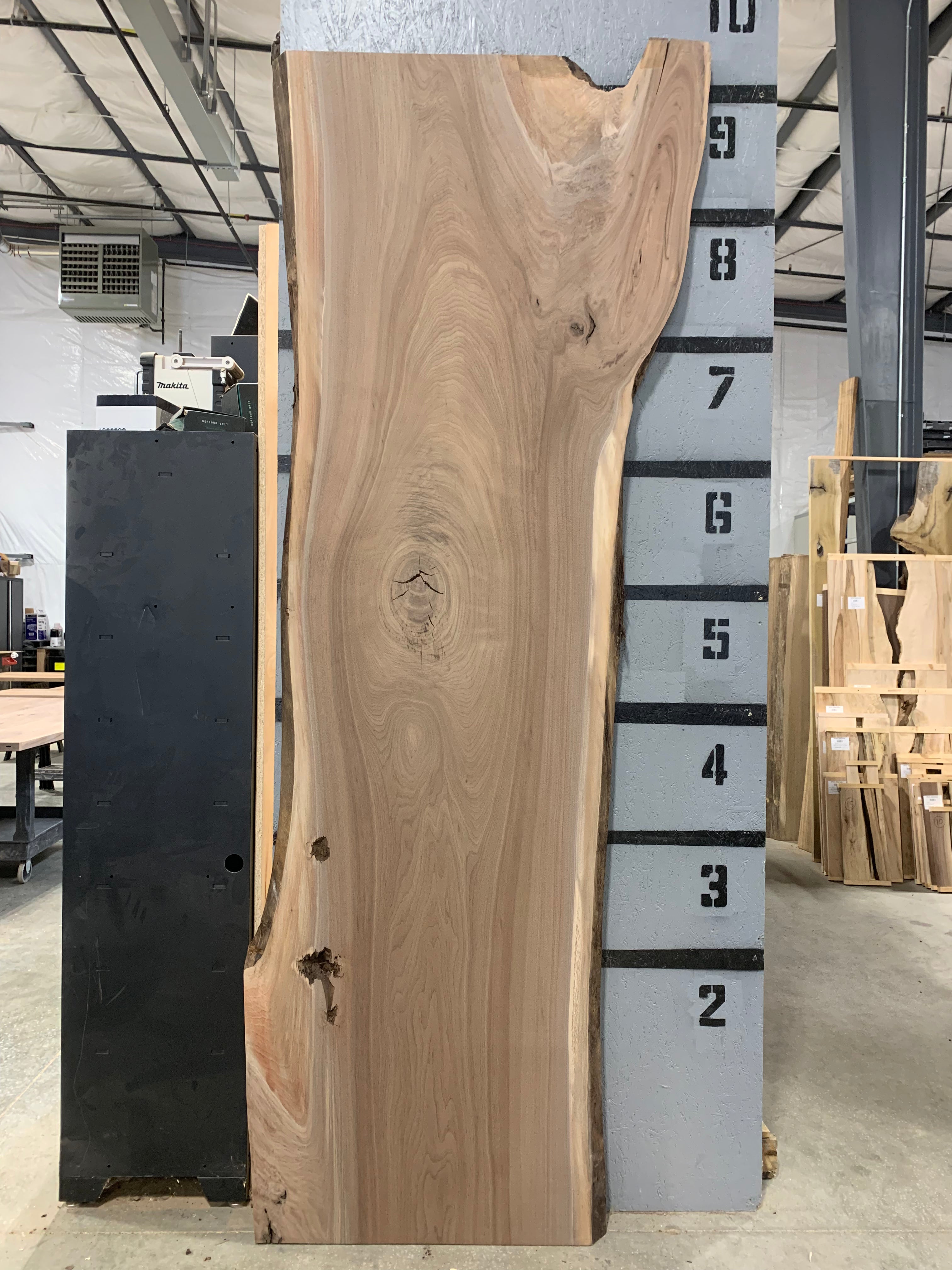 Black Walnut Slab - CNC Flattened | W624