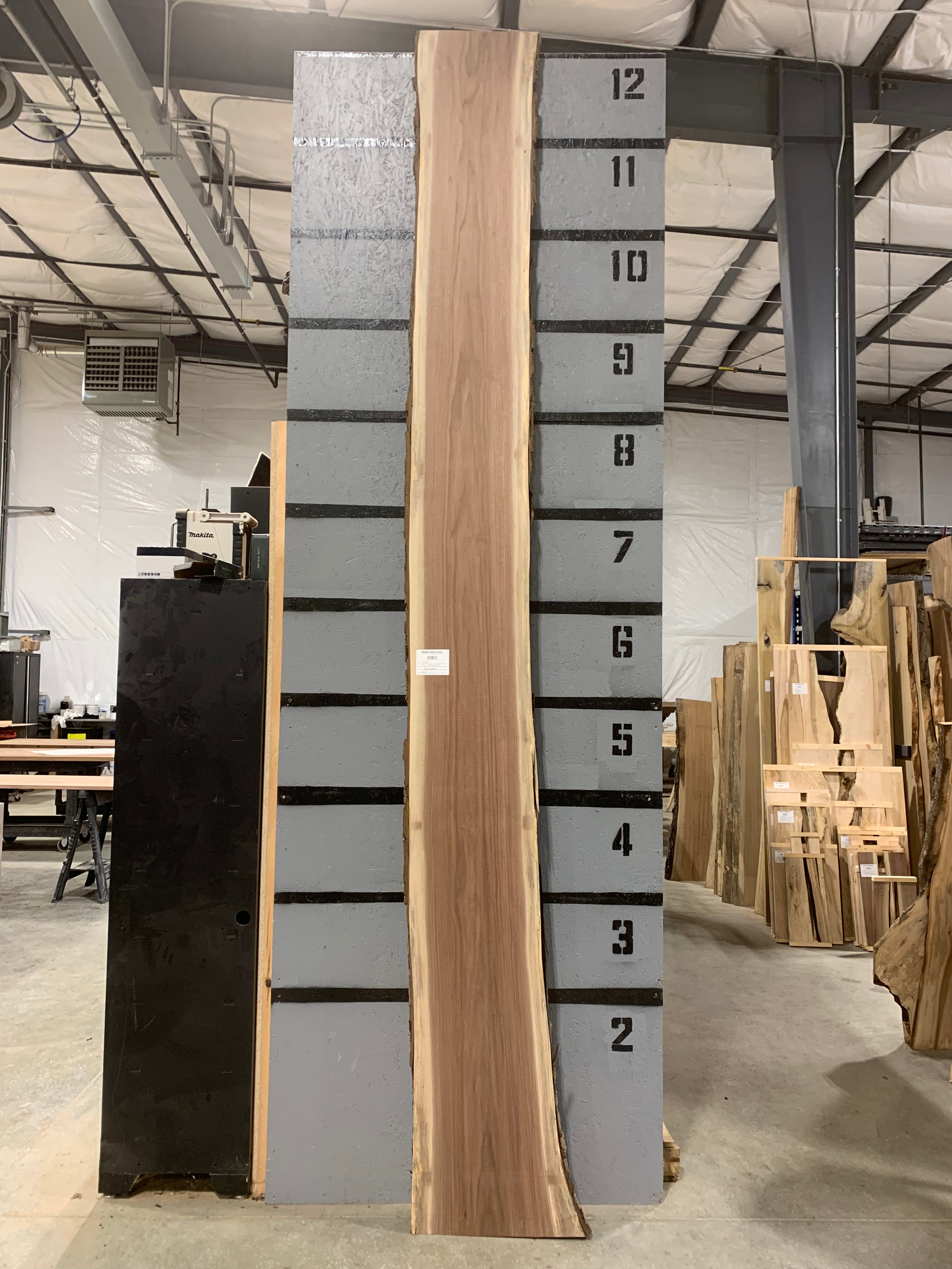 Black Walnut Slab | W631