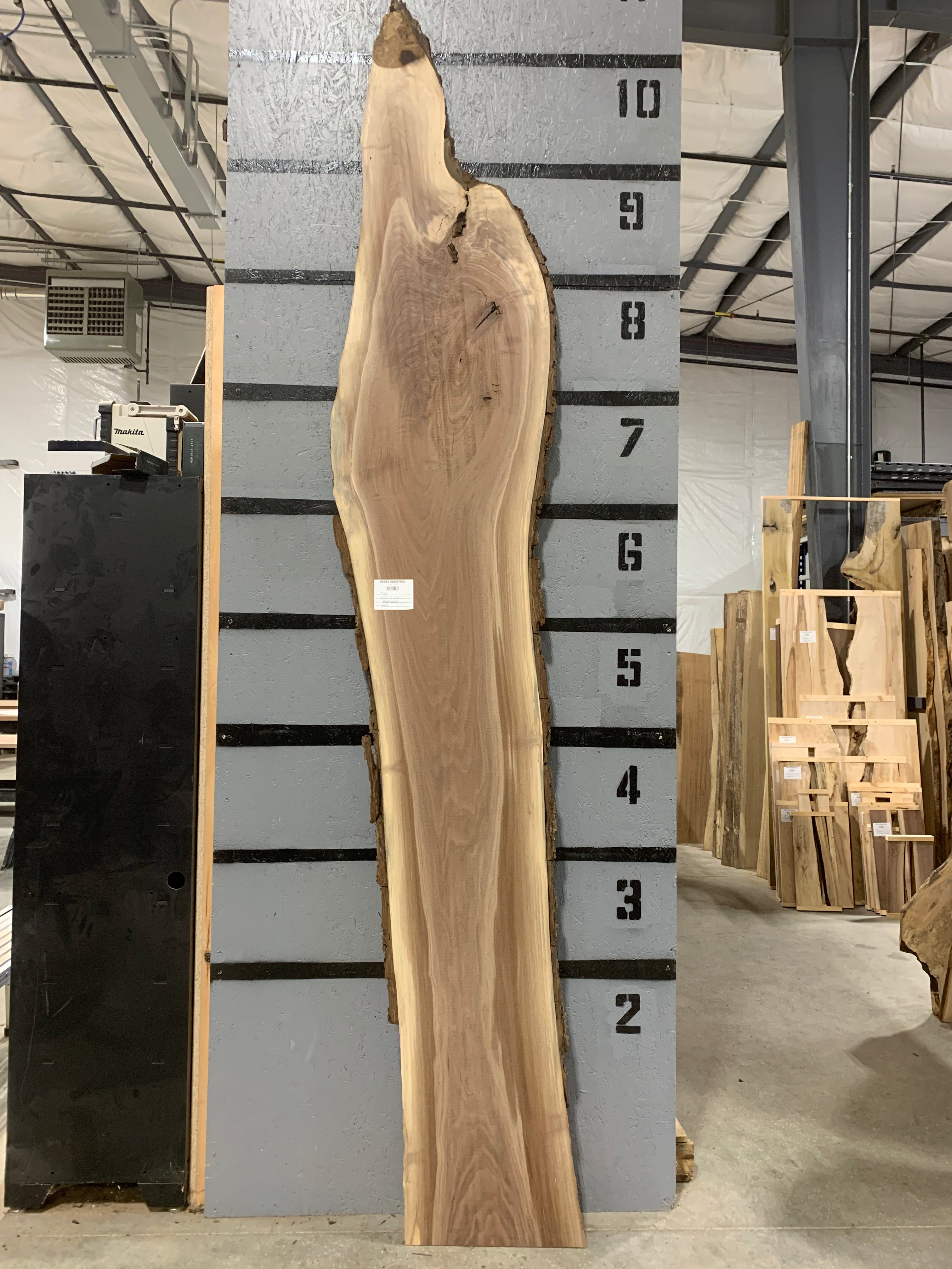 Black Walnut Slab | W633