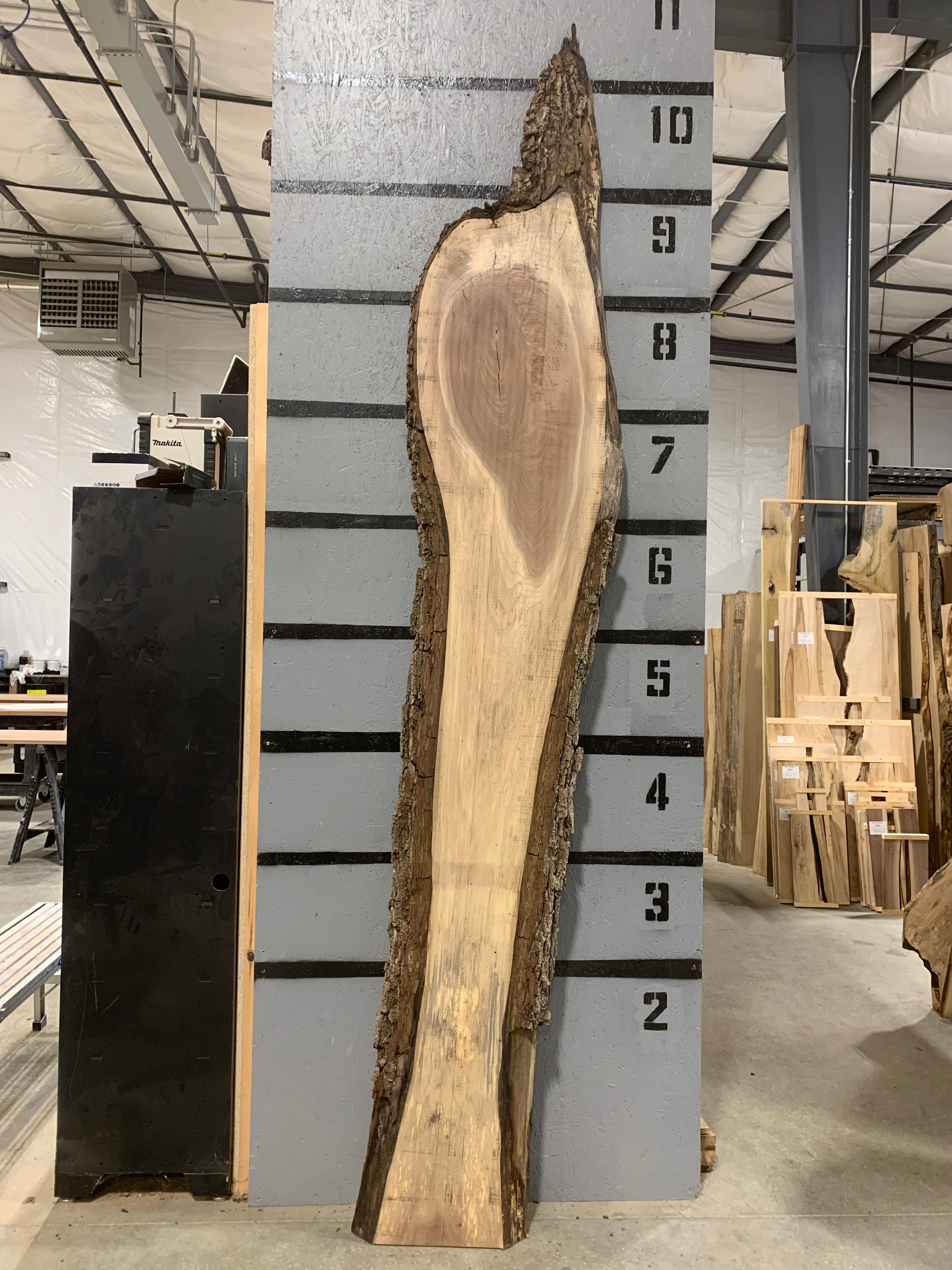 Black Walnut Slab | W633