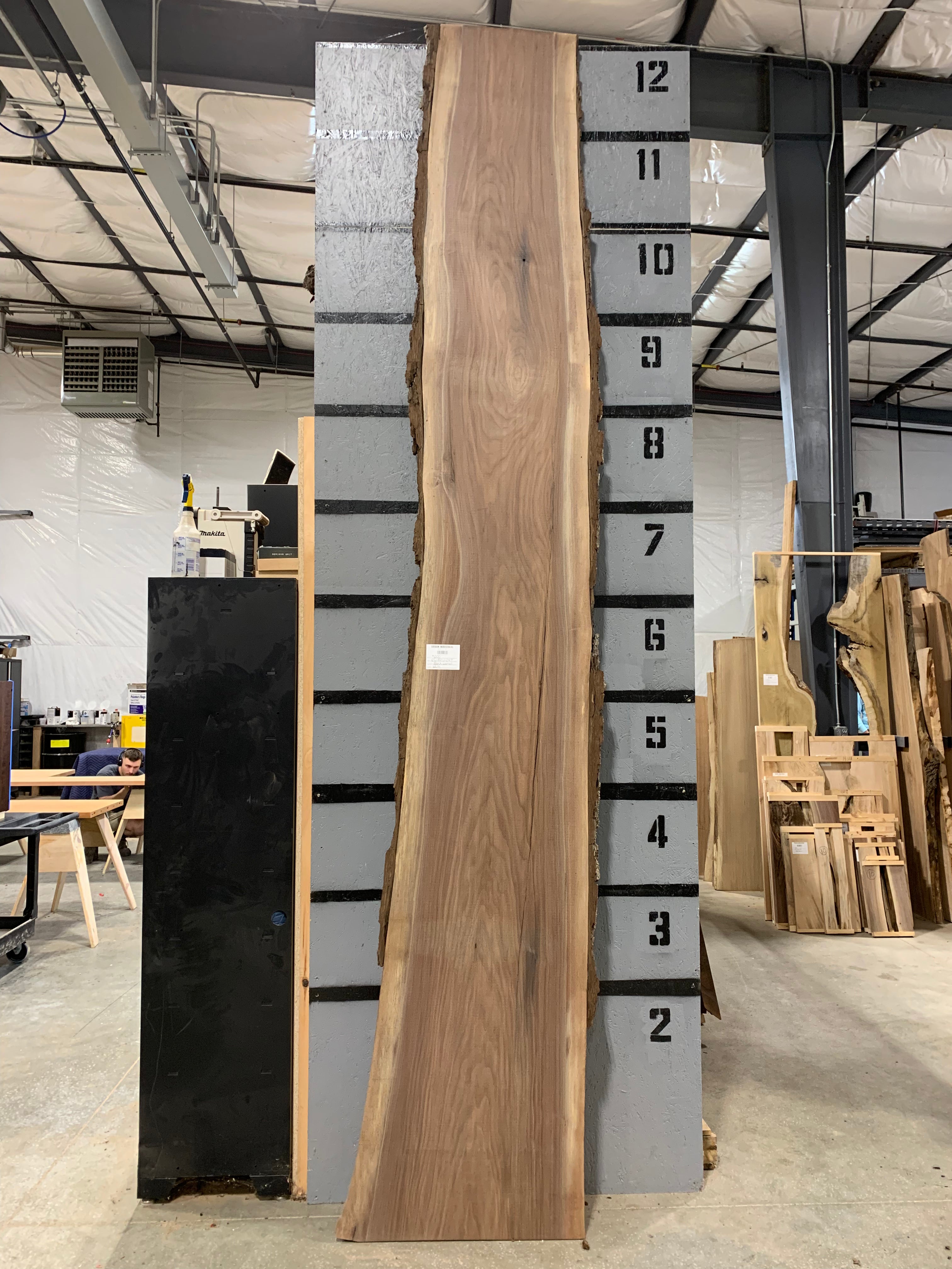 Black Walnut Slab | W634