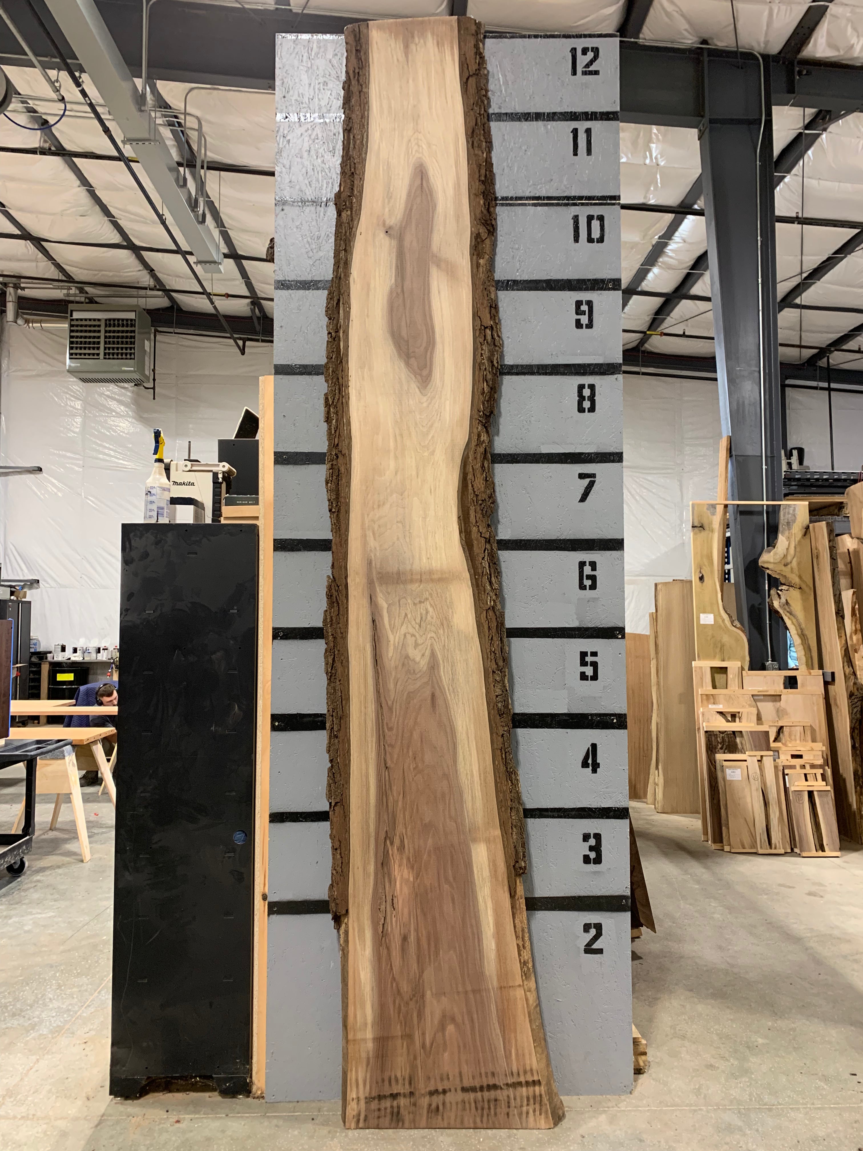 Black Walnut Slab | W634