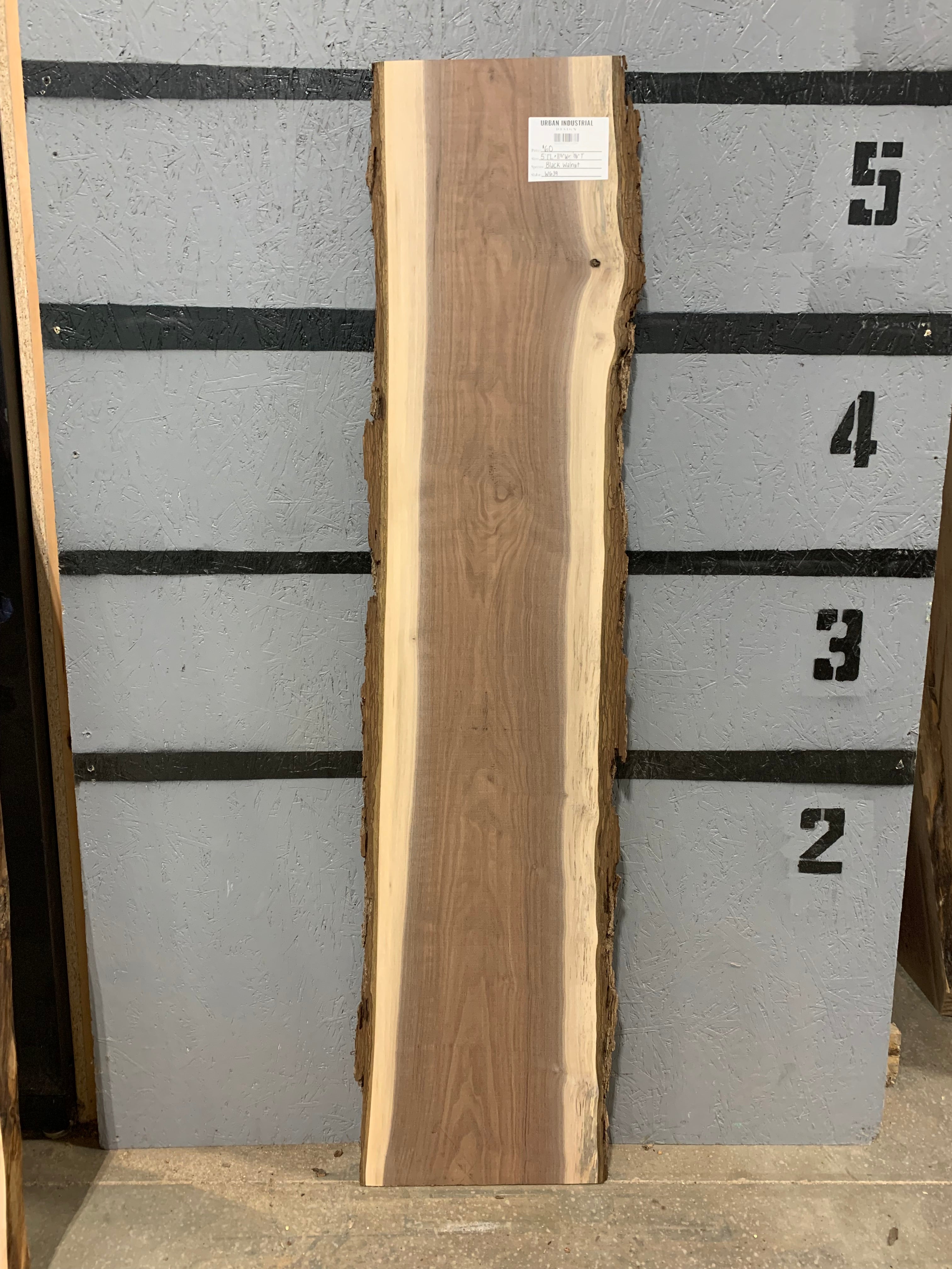 Black Walnut Slab | W639