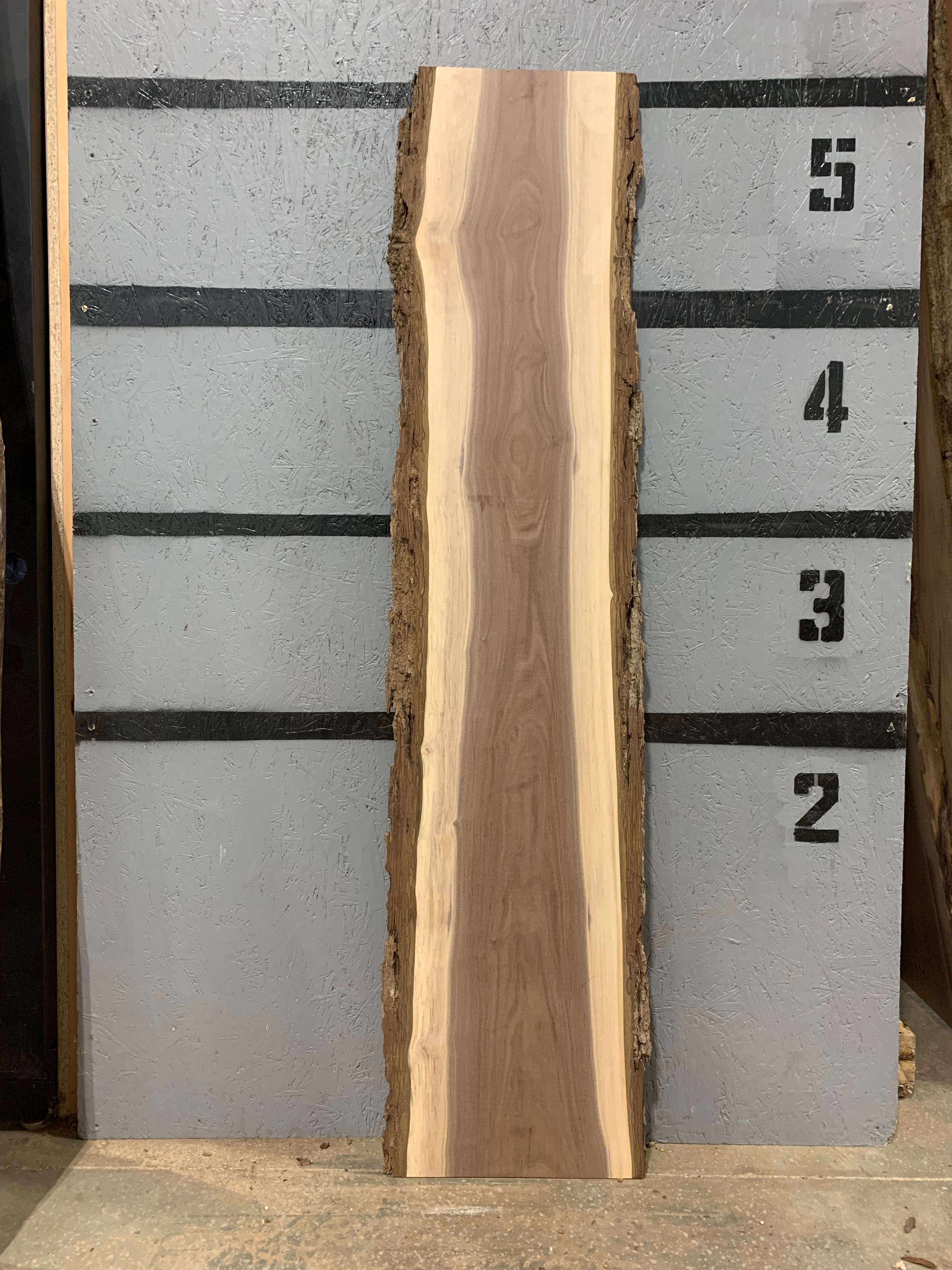Black Walnut Slab | W639