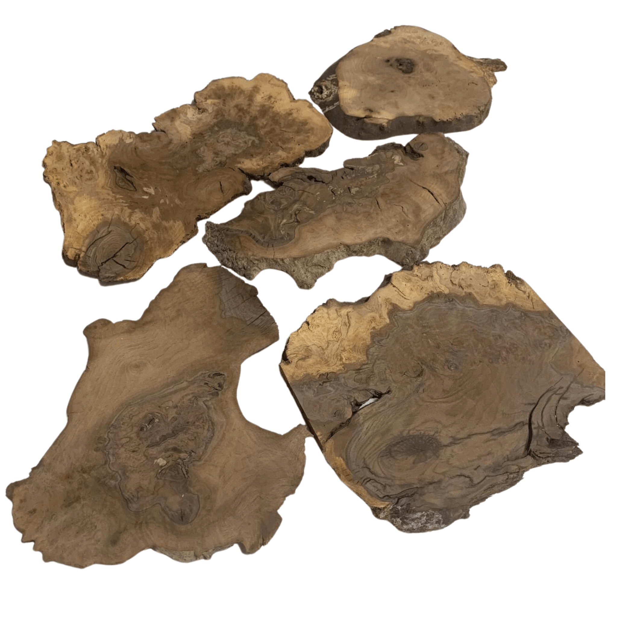 Claro Walnut Burl Slab Packs