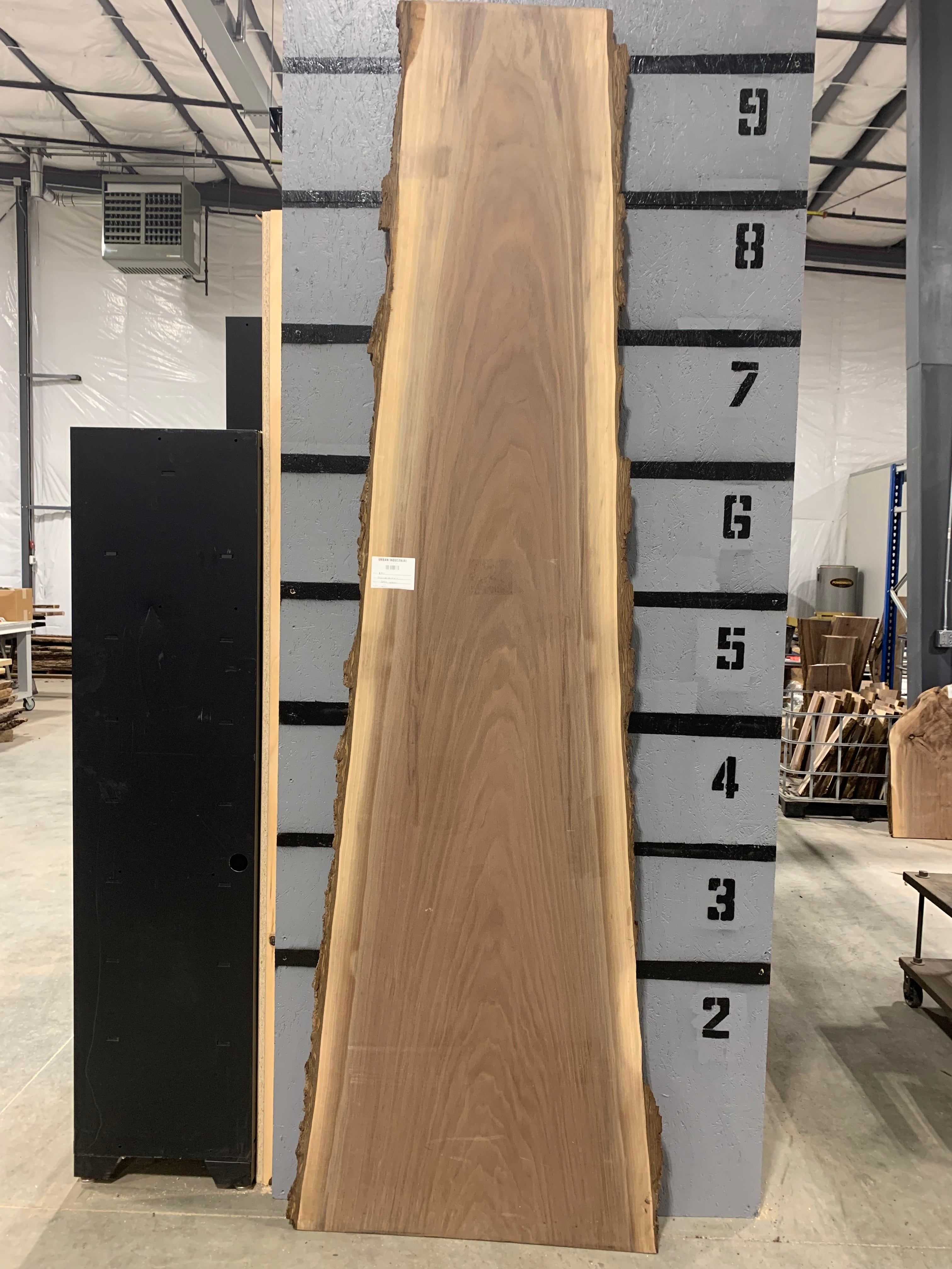 Black Walnut Slab | W115