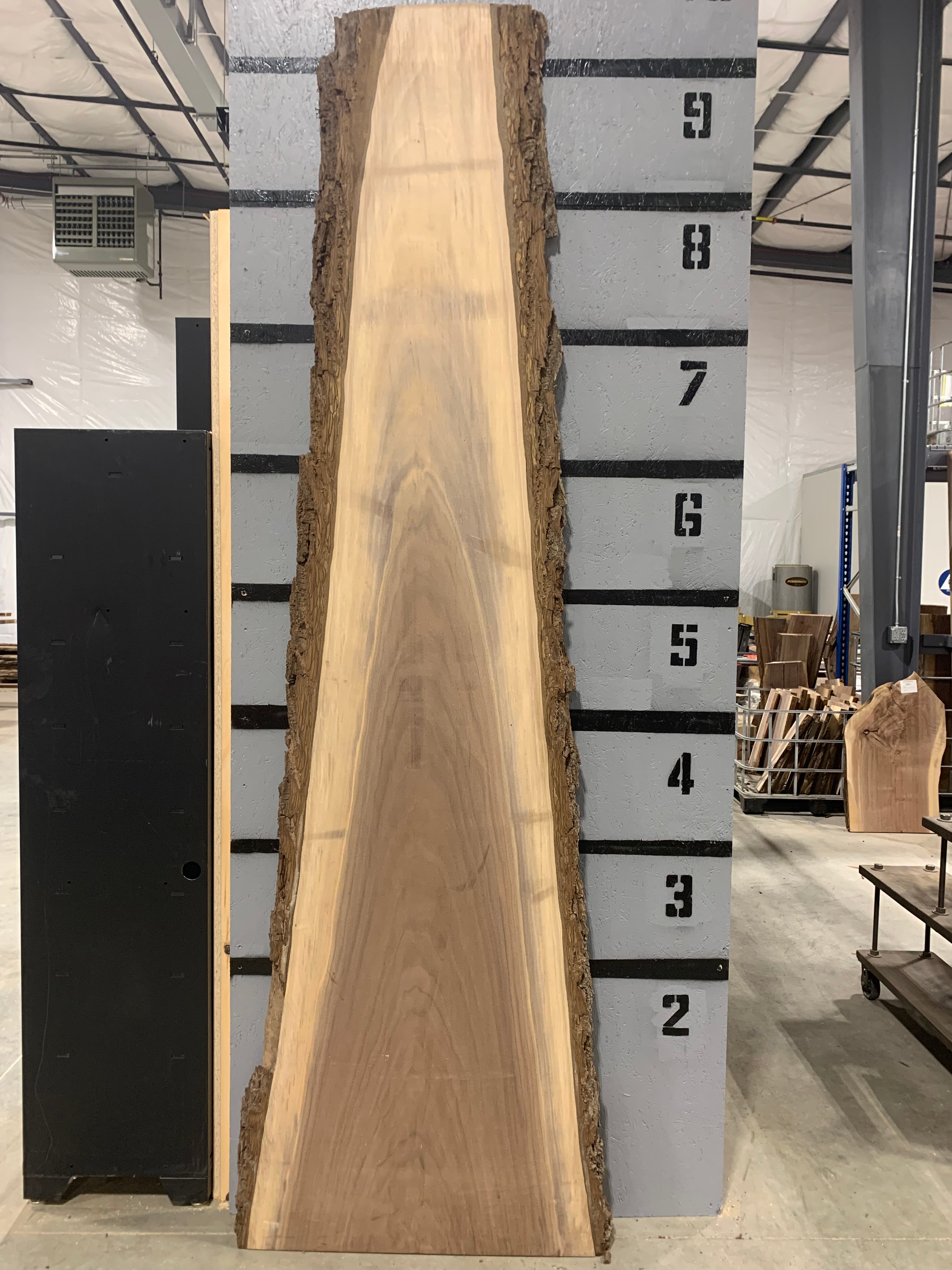 Black Walnut Slab | W115